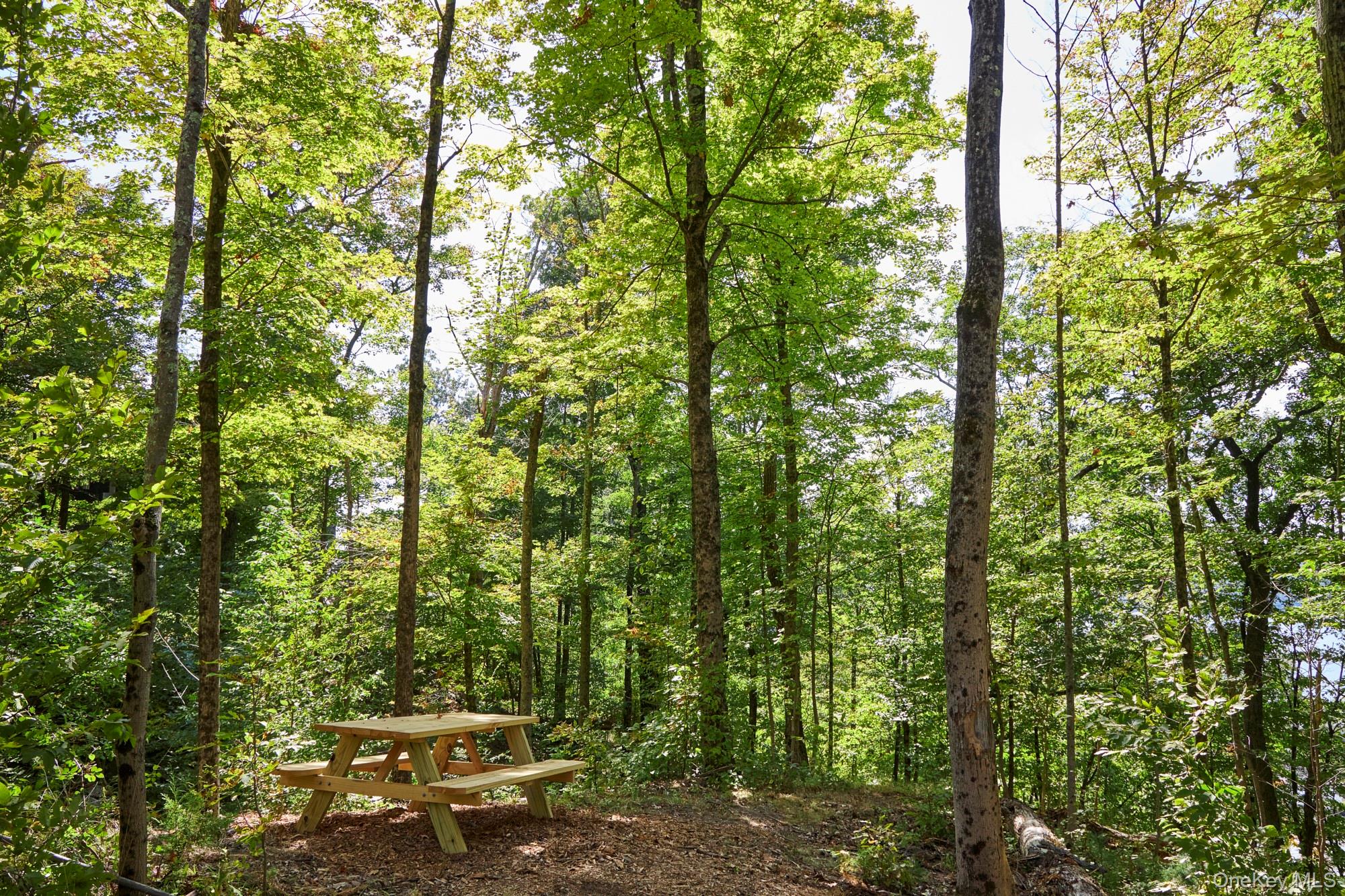 #2 photo, Mill Road, Rhinebeck , NY 12572