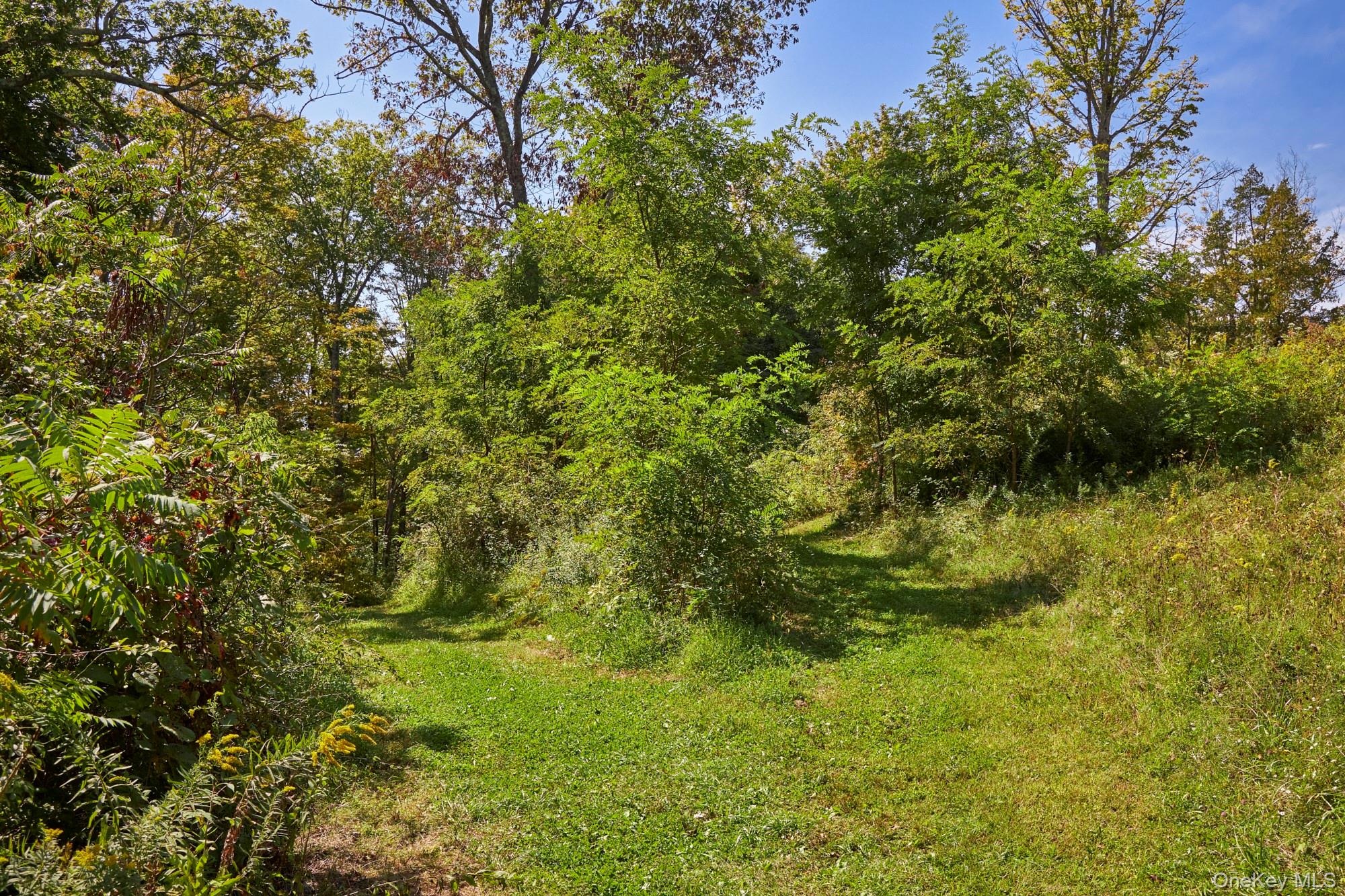 #4 photo, Mill Road, Rhinebeck , NY 12572