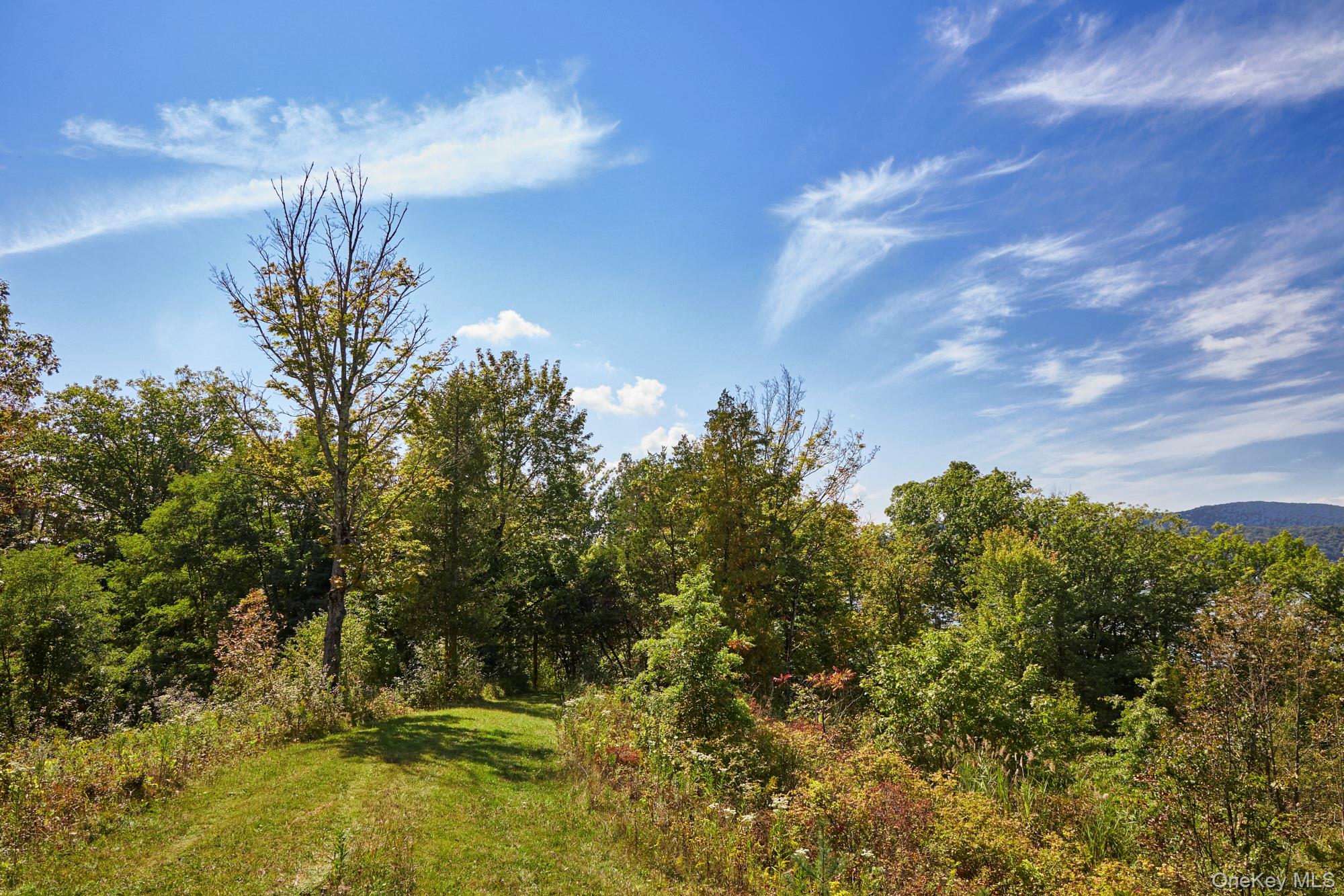 #5 photo, Mill Road, Rhinebeck , NY 12572