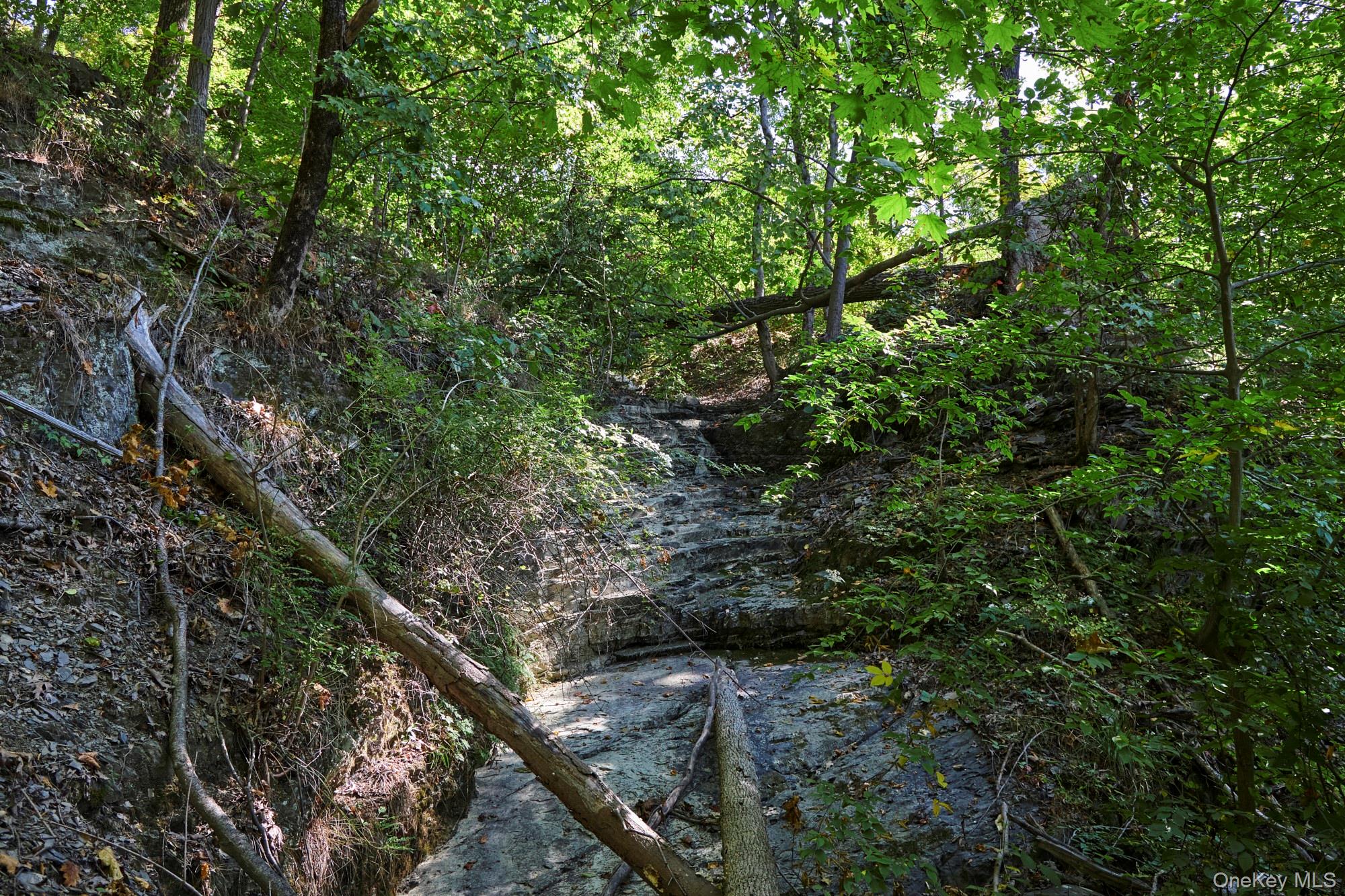 #6 photo, Mill Road, Rhinebeck , NY 12572