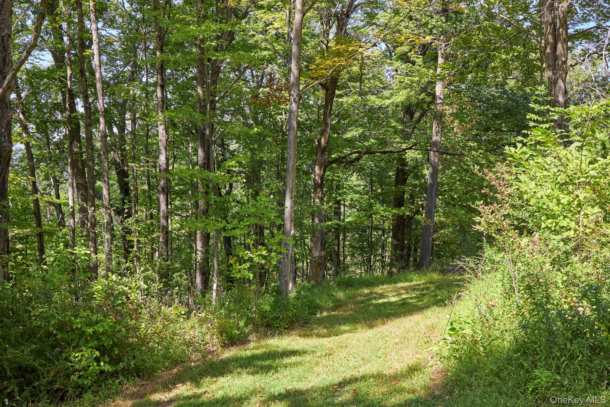 #7 photo, Mill Road, Rhinebeck , NY 12572