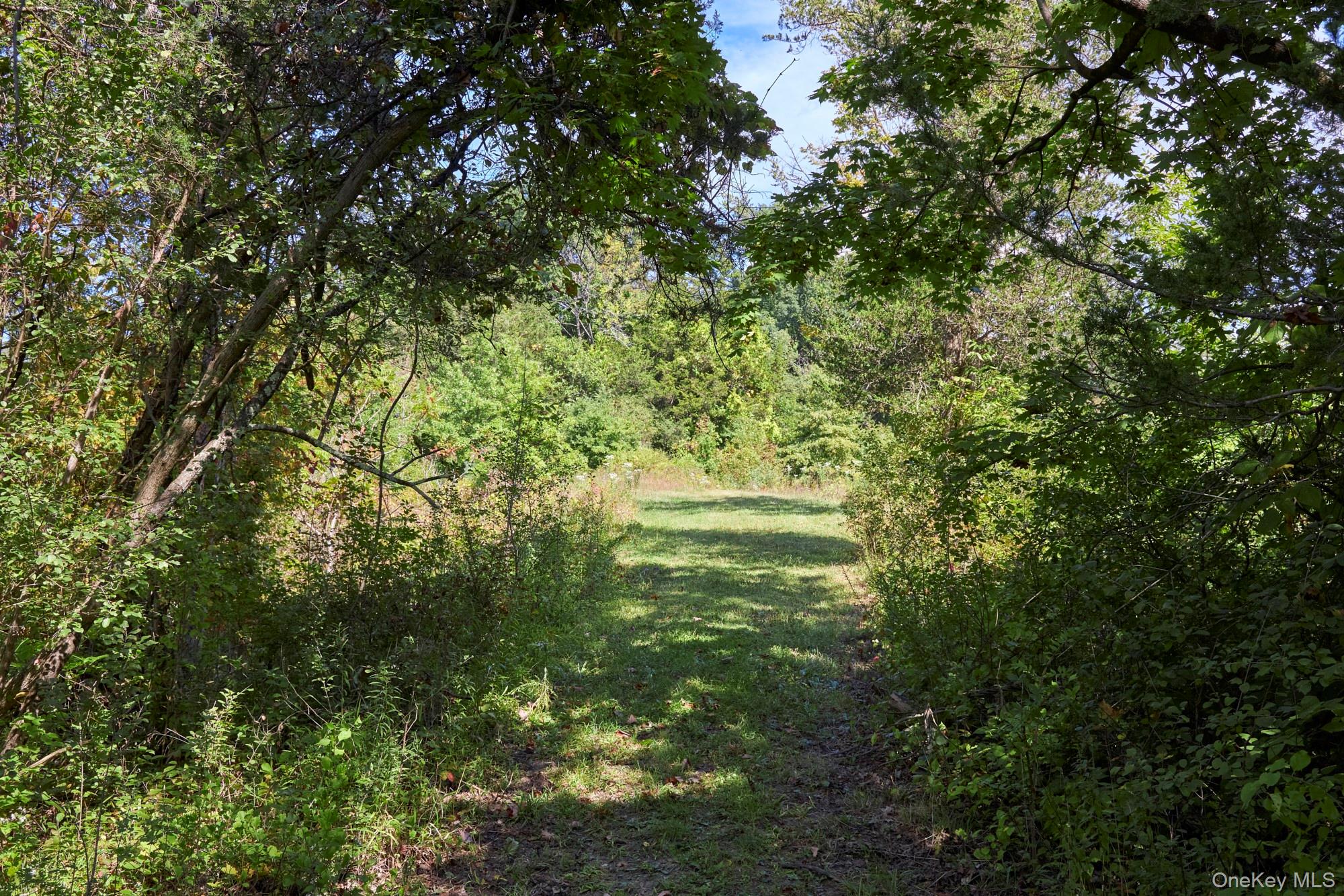 #8 photo, Mill Road, Rhinebeck , NY 12572