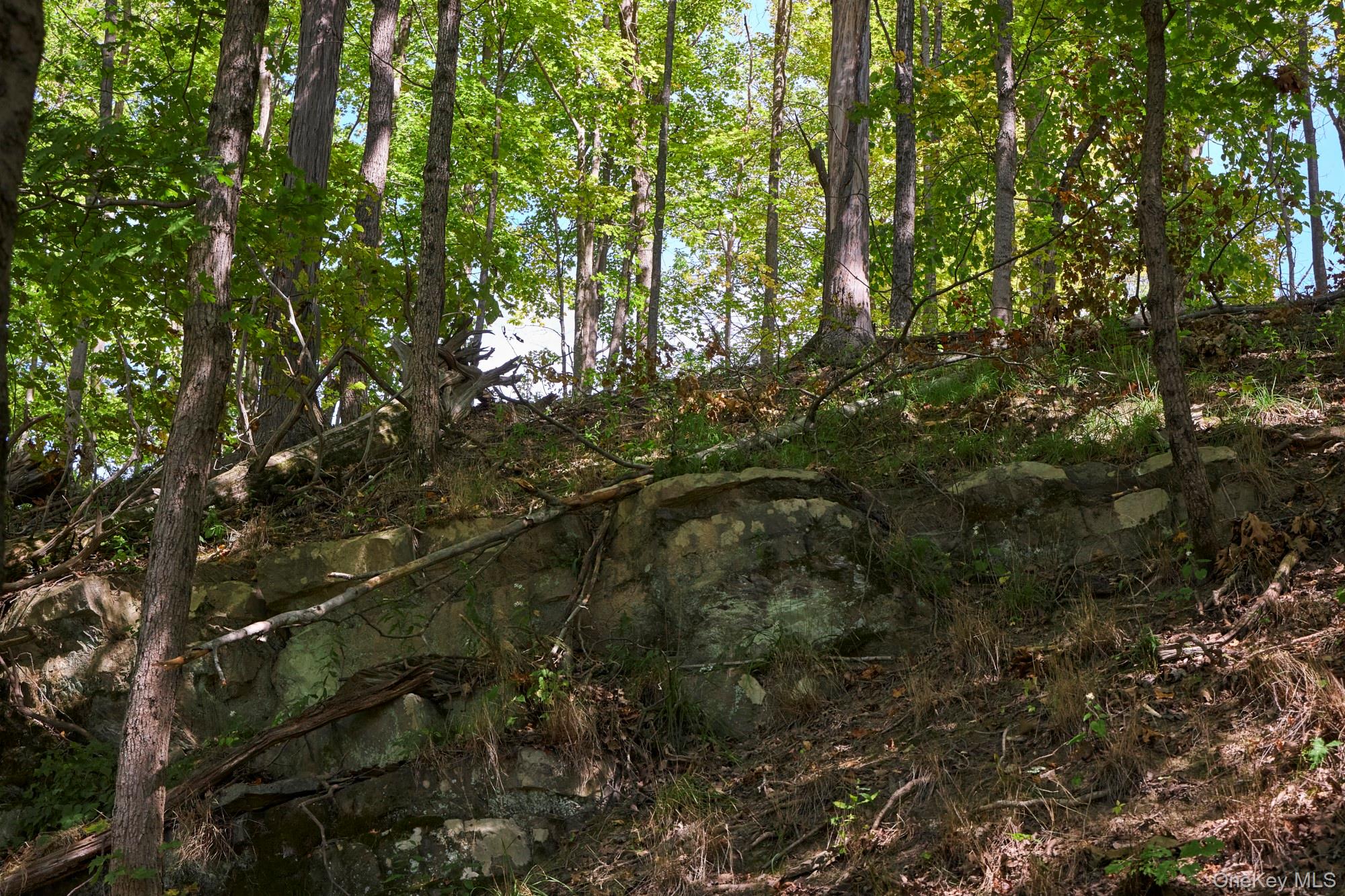 #9 photo, Mill Road, Rhinebeck , NY 12572