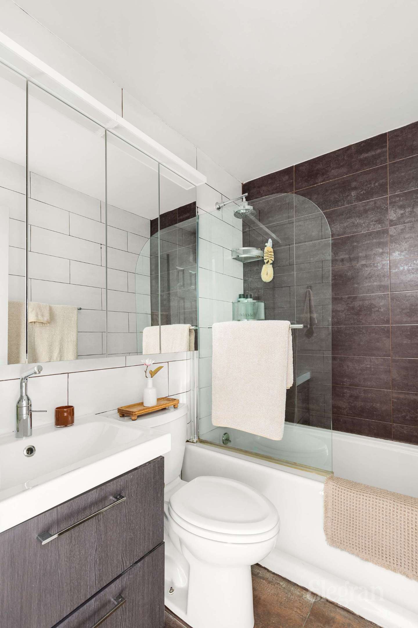 #15 photo, 560 State Street, ブルックリン区 Boerum Hill , NY 11217-1961