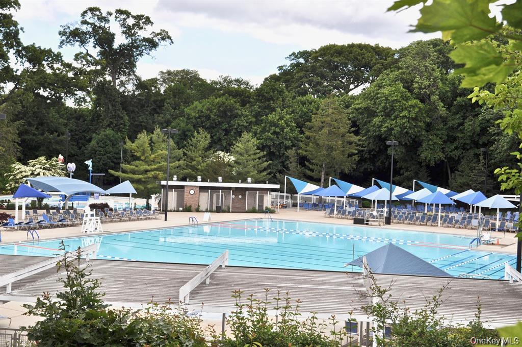 #13 photo, 221 Middleneck Road, ナッソー郡 Great Neck , NY 11021