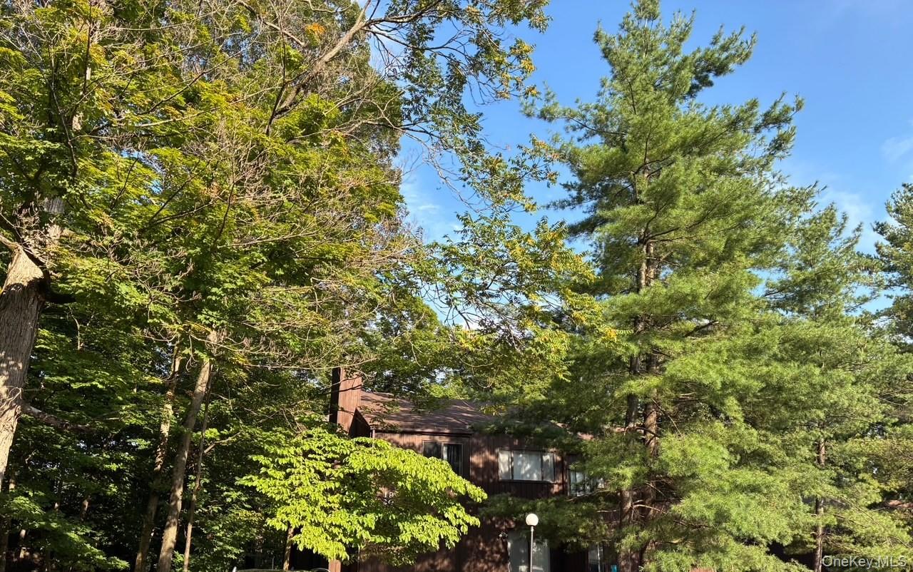 #6 photo, 20 Redwood Drive, Highland Mills , NY 10930