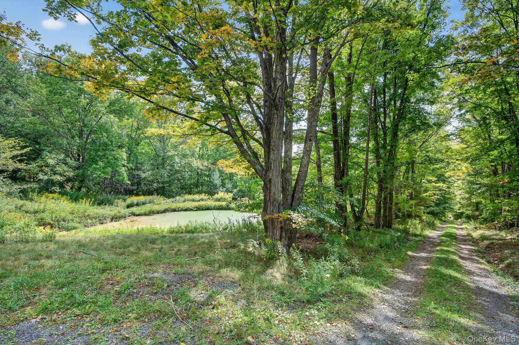 #11 photo, 174 Gary Place, Denver , NY 12421