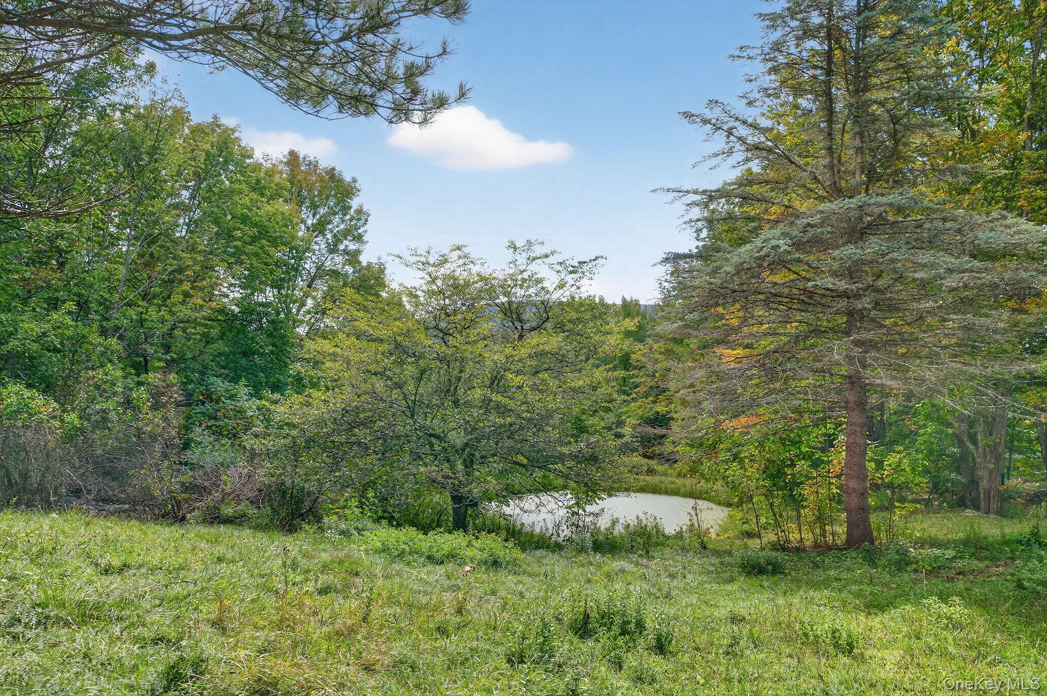 #12 photo, 174 Gary Place, Denver , NY 12421