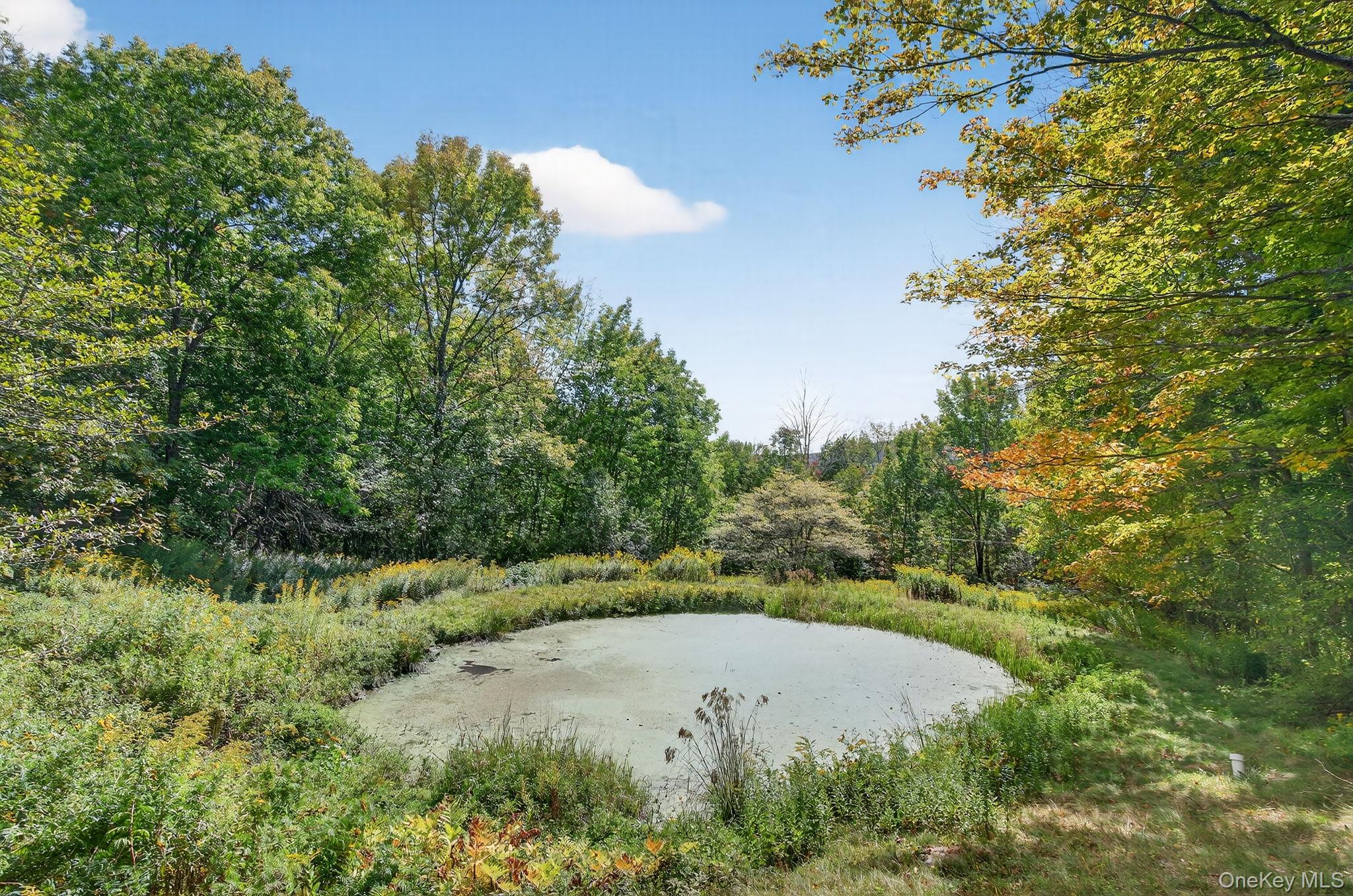 #5 photo, 174 Gary Place, Denver , NY 12421