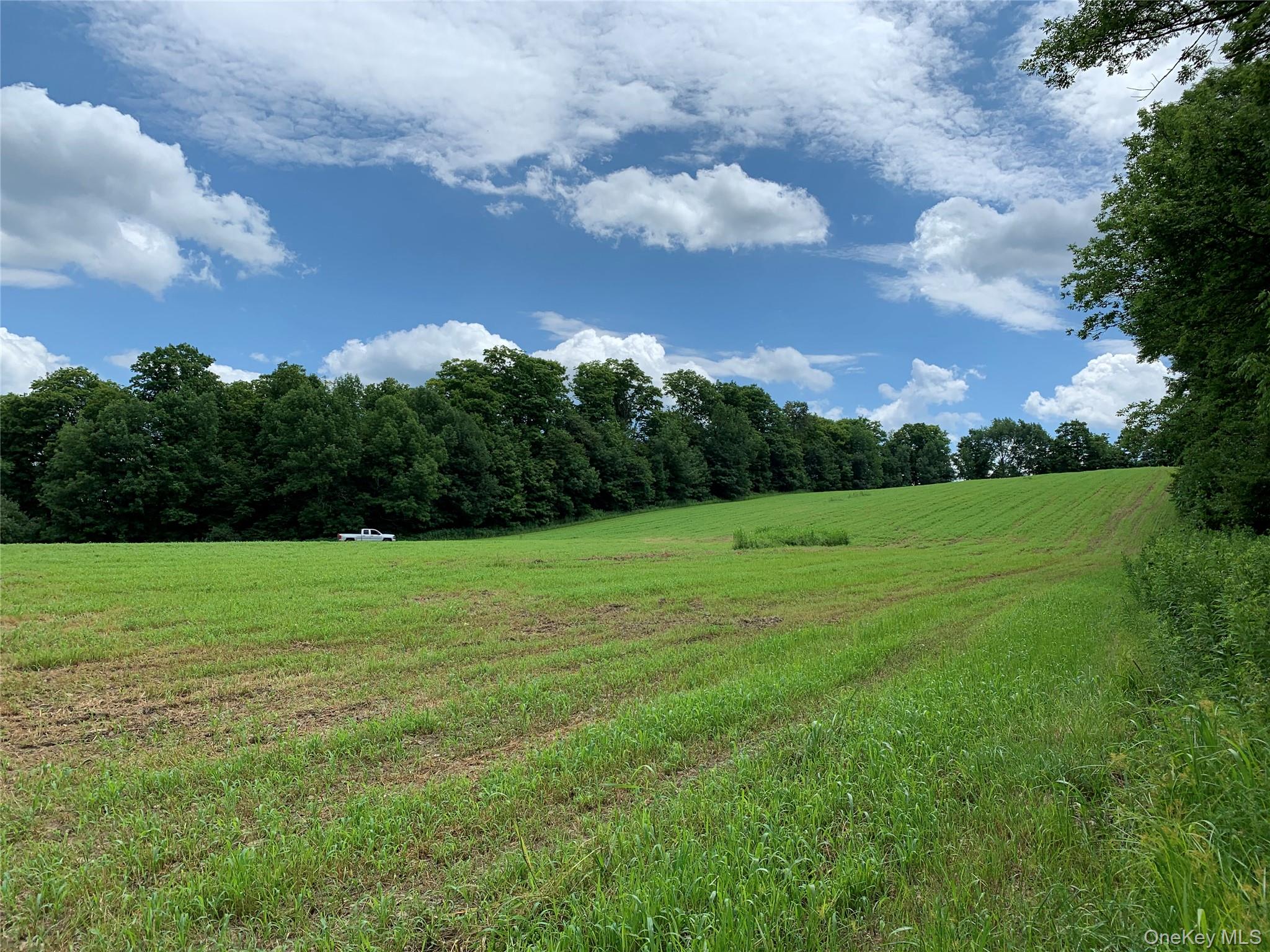 #1 photo, 413 Middlefield Rd, Call Listing Agent , NY 