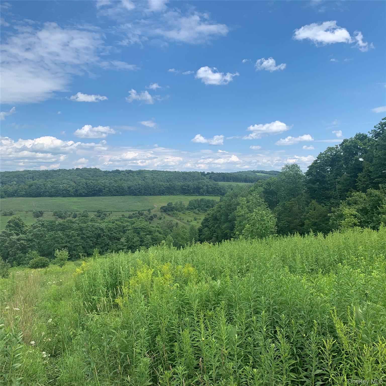 #10 photo, 413 Middlefield Rd, Call Listing Agent , NY 