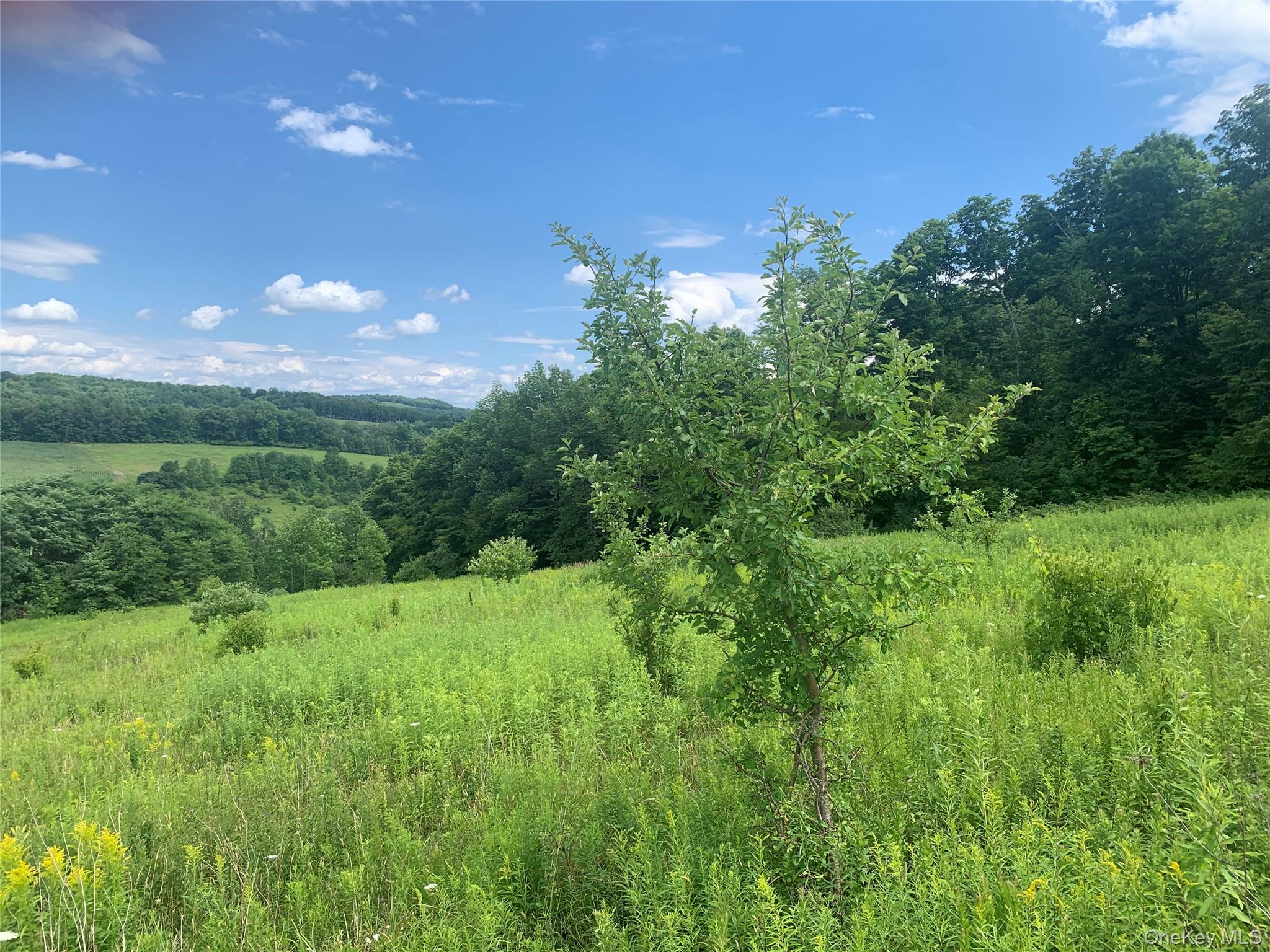 #11 photo, 413 Middlefield Rd, Call Listing Agent , NY 