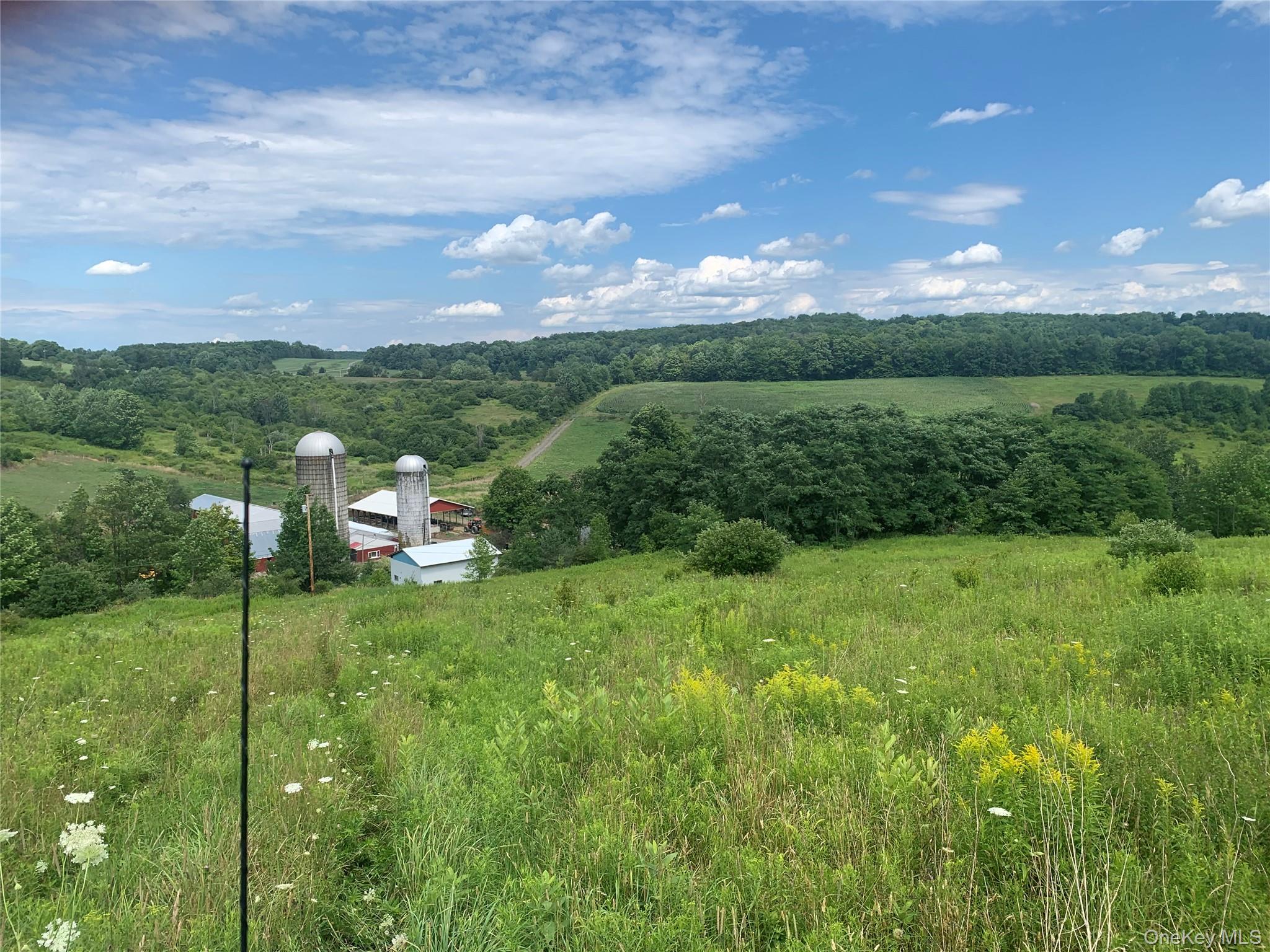 #12 photo, 413 Middlefield Rd, Call Listing Agent , NY 