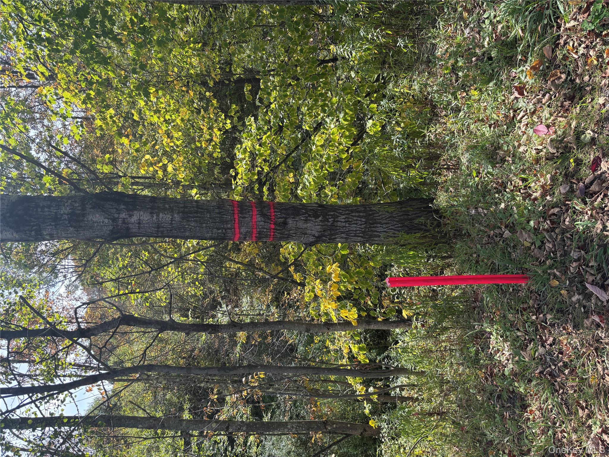 #13 photo, 413 Middlefield Rd, Call Listing Agent , NY 