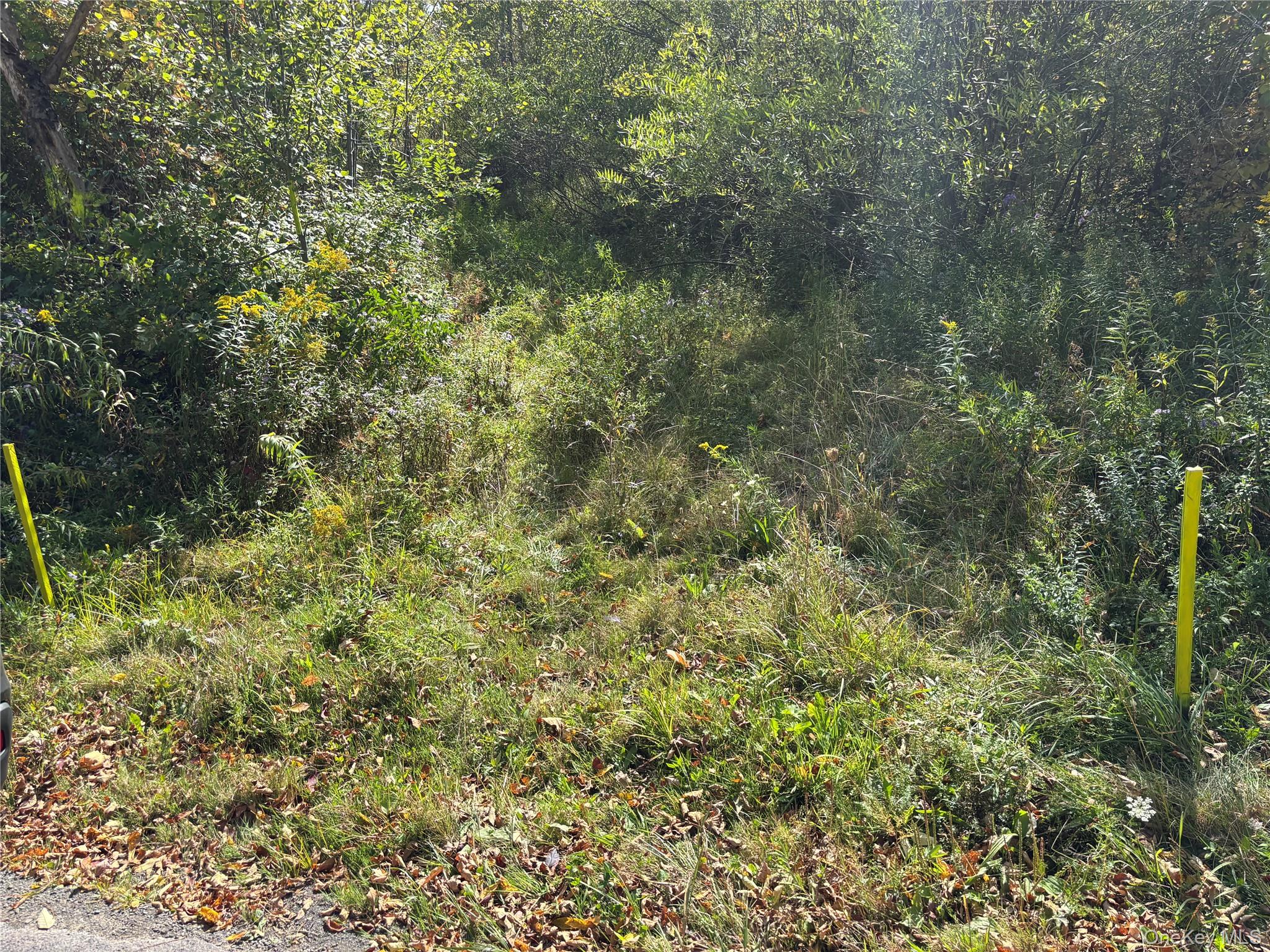 #14 photo, 413 Middlefield Rd, Call Listing Agent , NY 