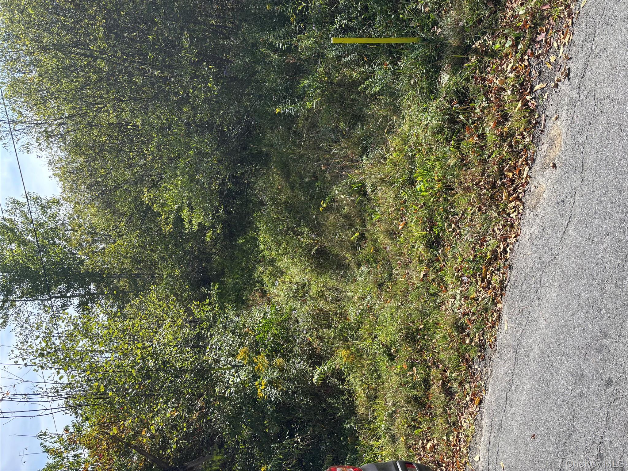 #15 photo, 413 Middlefield Rd, Call Listing Agent , NY 