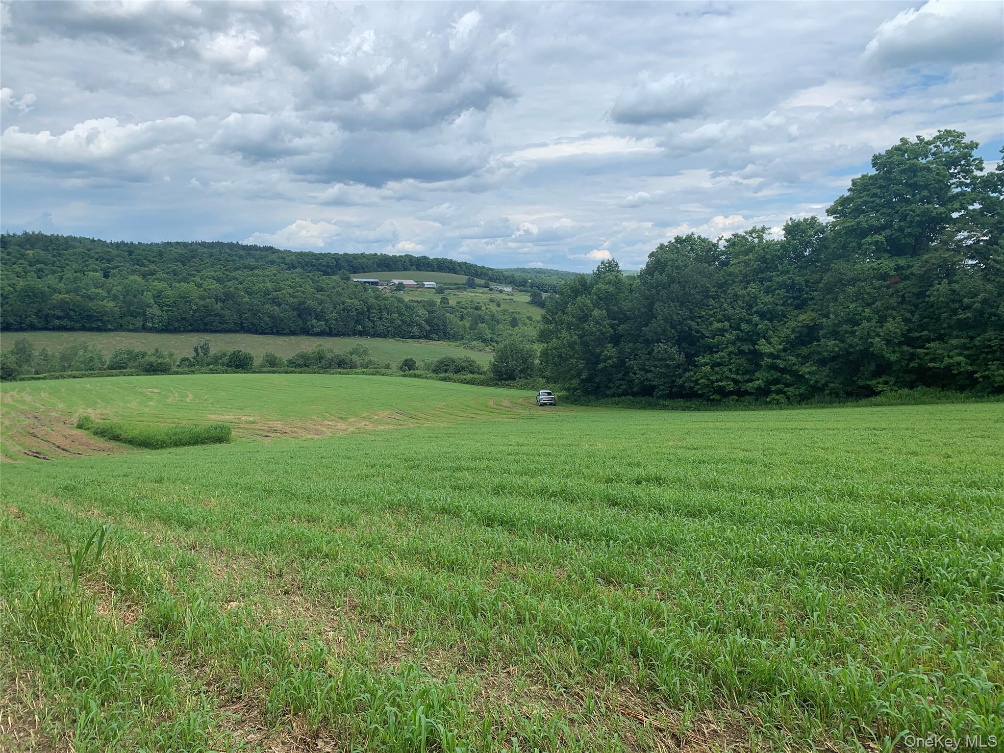 #7 photo, 413 Middlefield Rd, Call Listing Agent , NY 