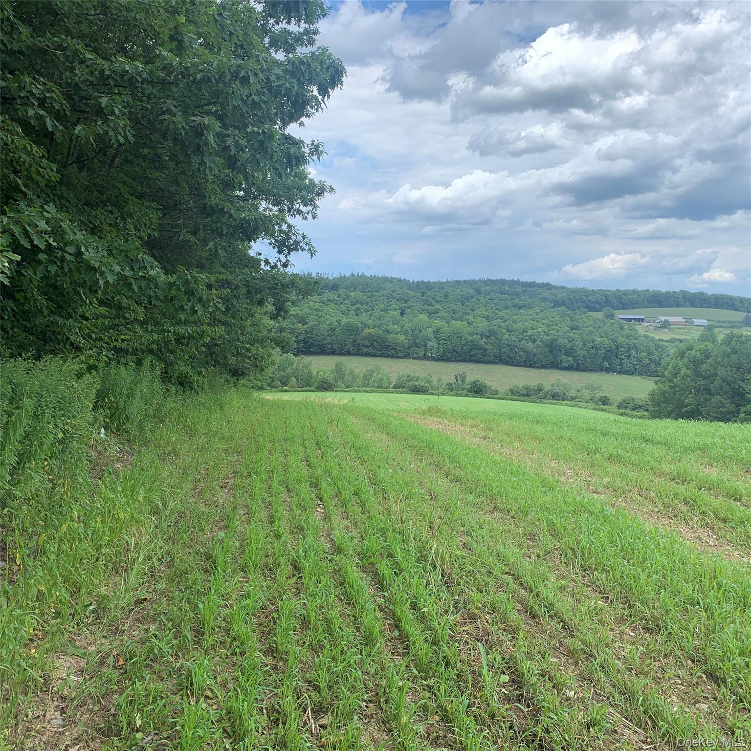 #8 photo, 413 Middlefield Rd, Call Listing Agent , NY 