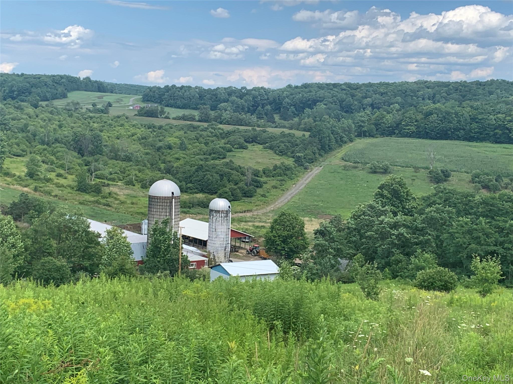 #9 photo, 413 Middlefield Rd, Call Listing Agent , NY 