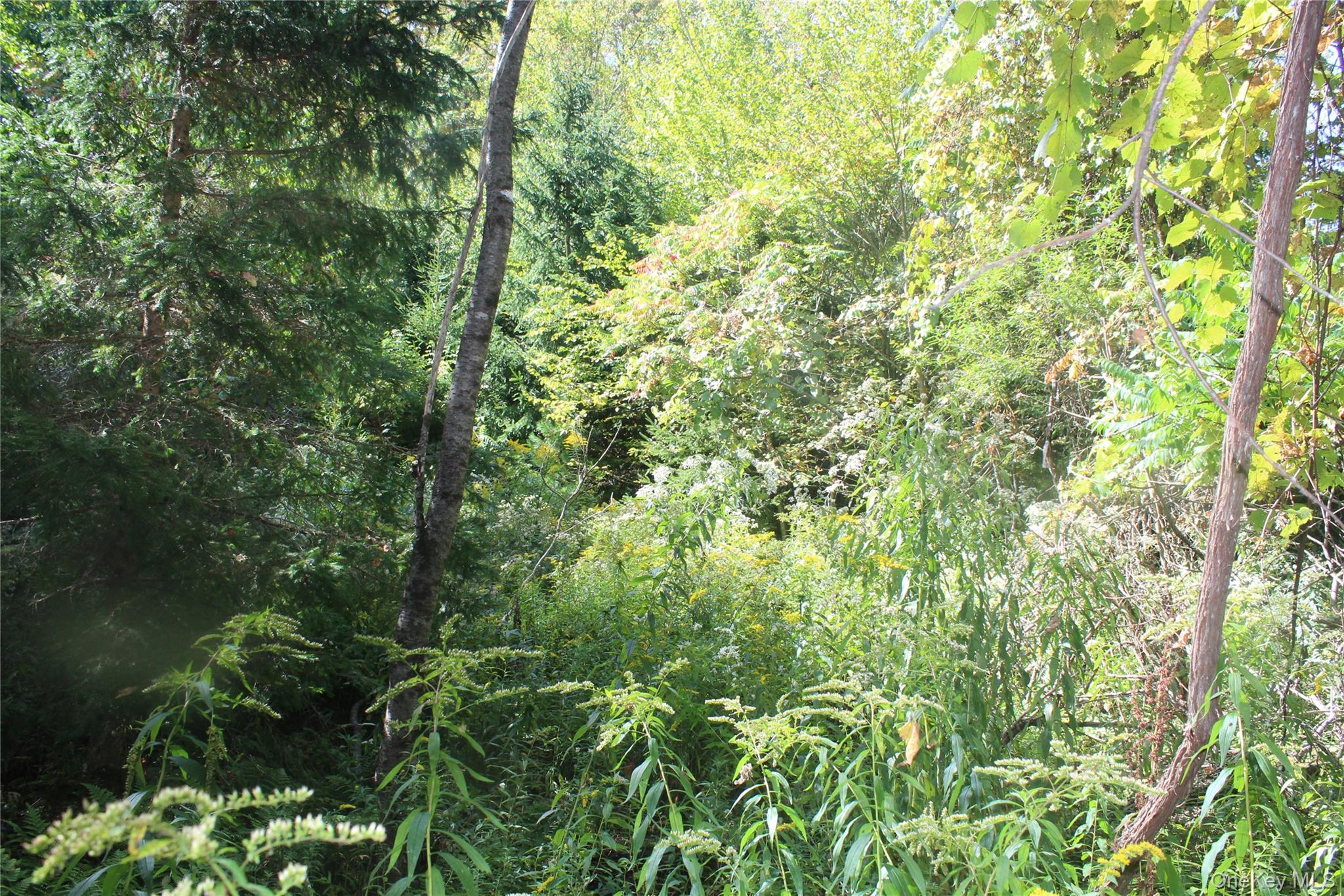 #10 photo, Trout Brook Road, Roscoe , NY 12736