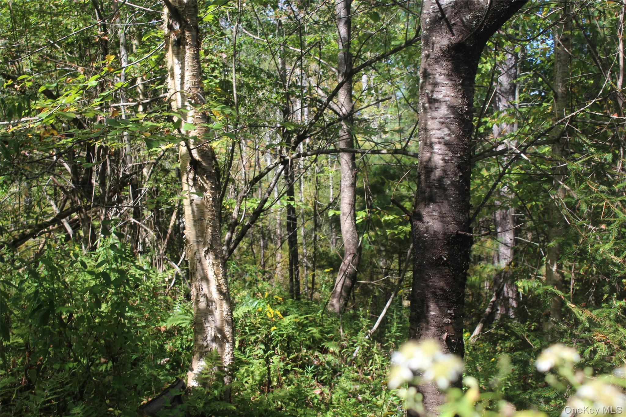 #12 photo, Trout Brook Road, Roscoe , NY 12736