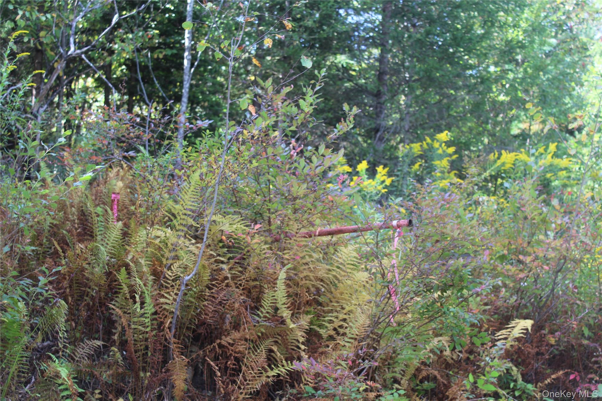 #15 photo, Trout Brook Road, Roscoe , NY 12736