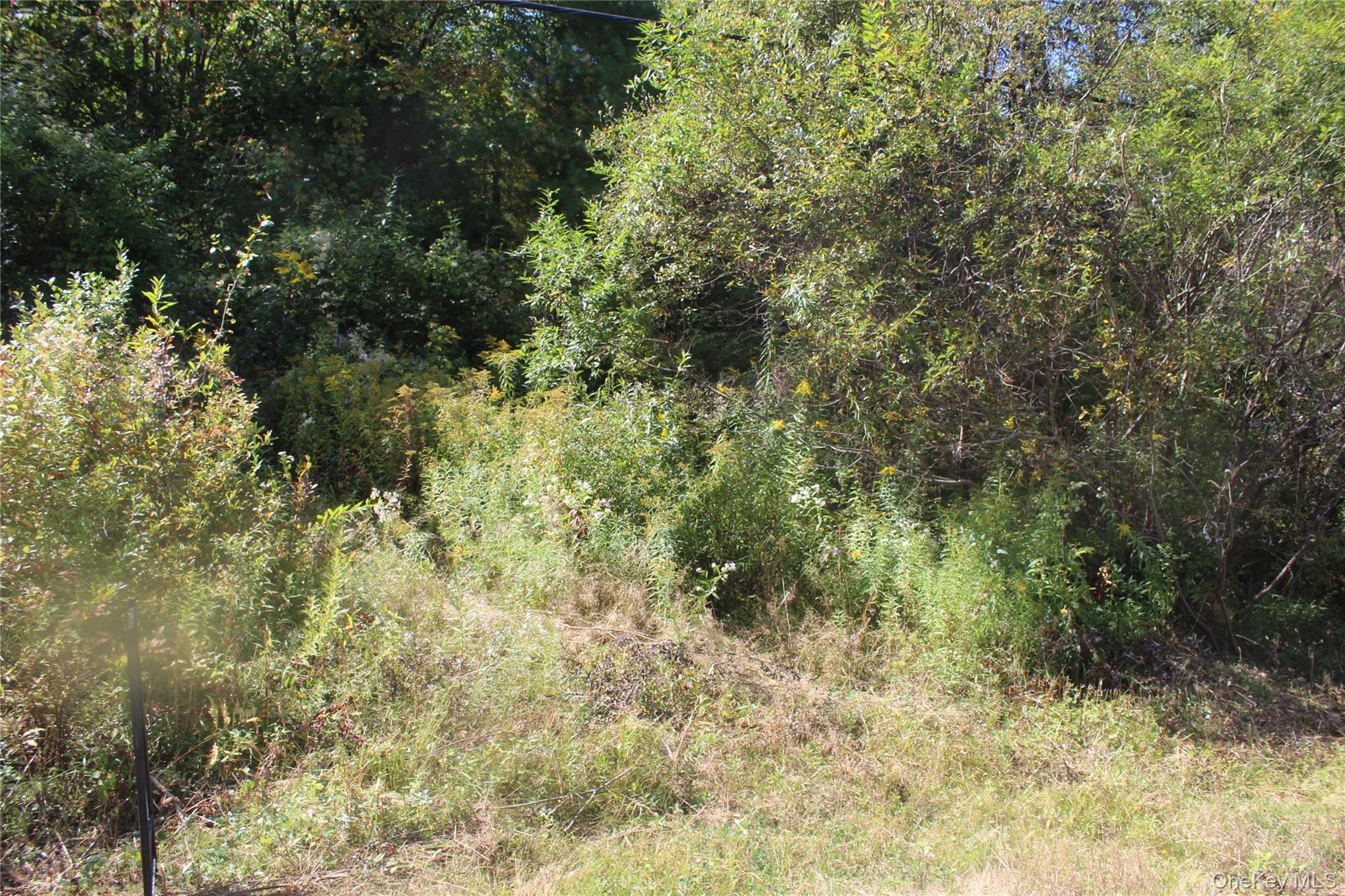 #7 photo, Trout Brook Road, Roscoe , NY 12736