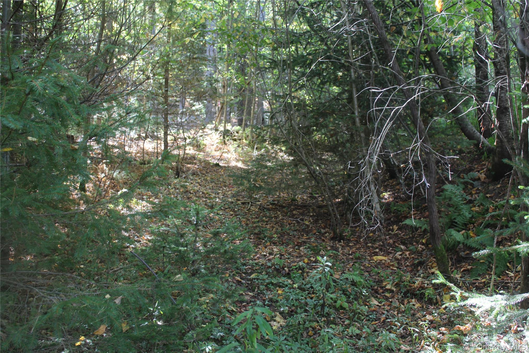 #9 photo, Trout Brook Road, Roscoe , NY 12736