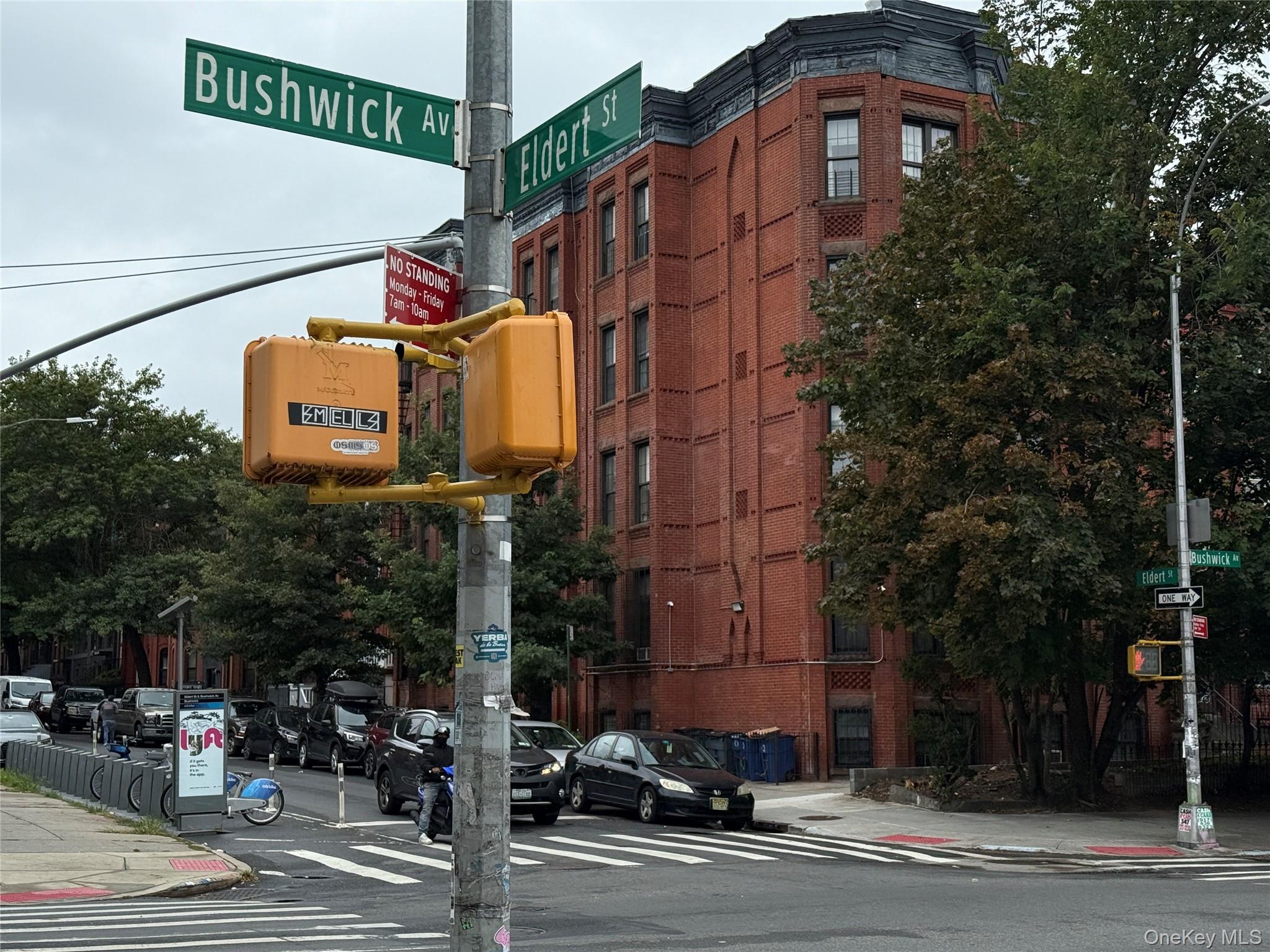 #8 photo, 65 Eldert Street, Brooklyn , NY 11207