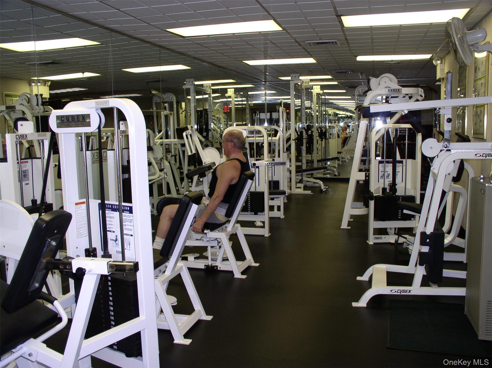 #11 photo, 14-04 Michael Place, Bayside , NY 11360