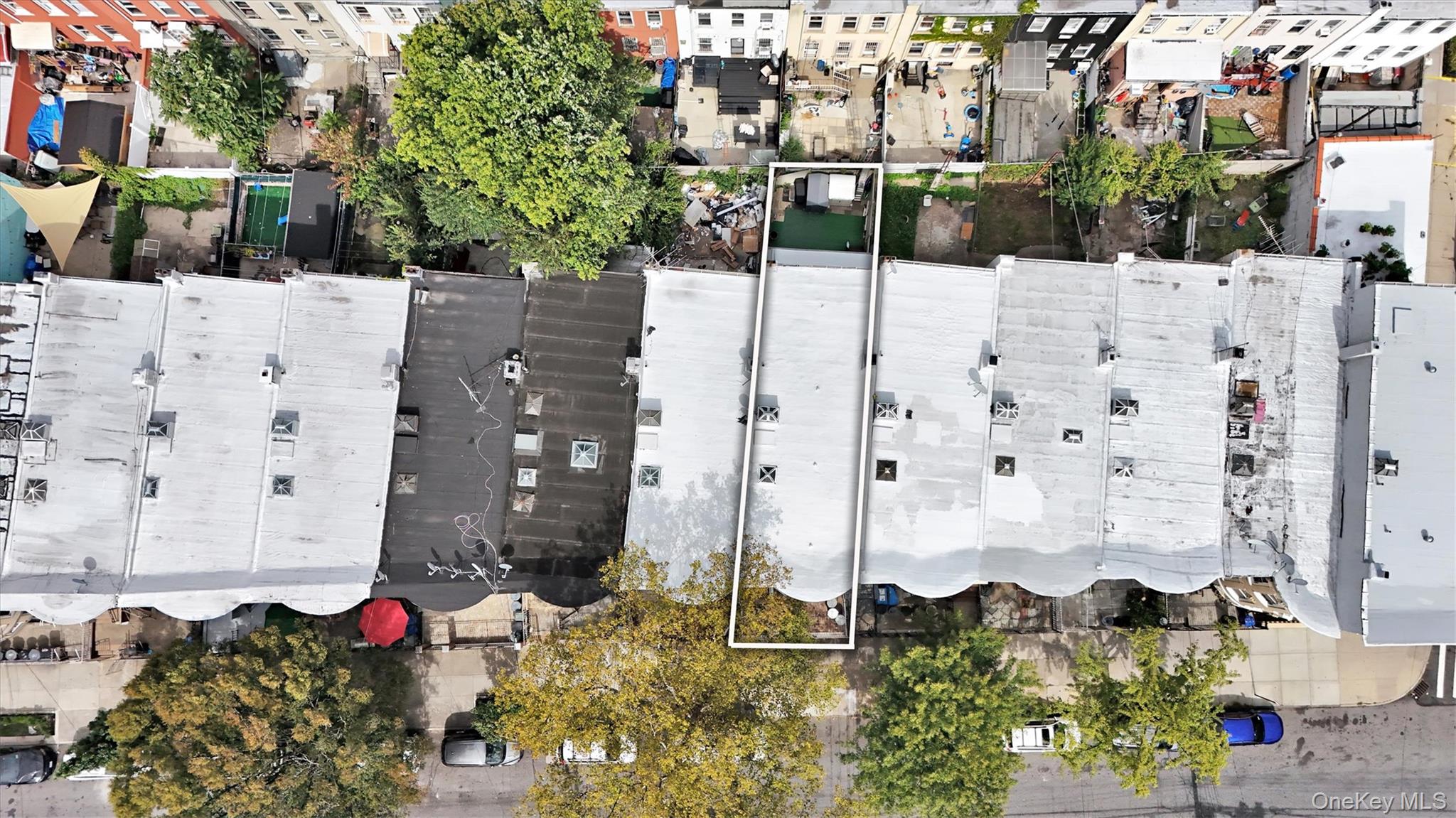 #4 photo, 453 Ridgewood Avenue, Brooklyn , NY 11208