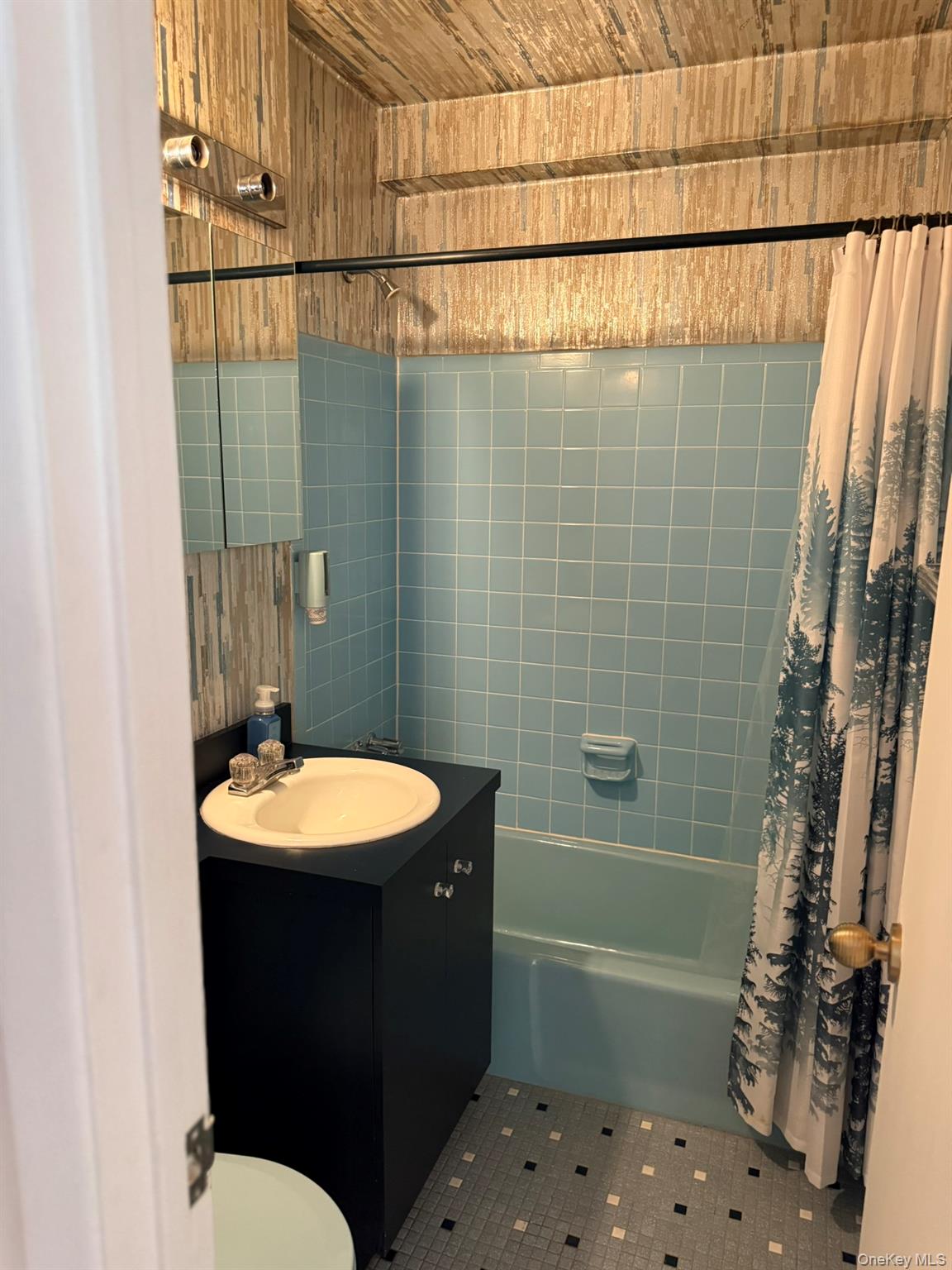 #9 photo, 40 Daley Place, Lynbrook , NY 11563