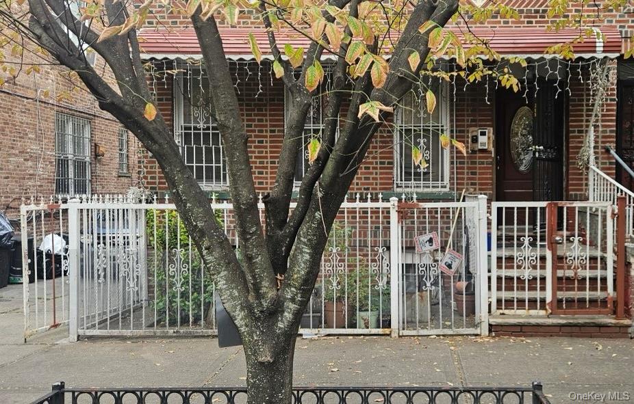 #1 photo, 369 Milford Street, הברונקס Brooklyn , NY 11208