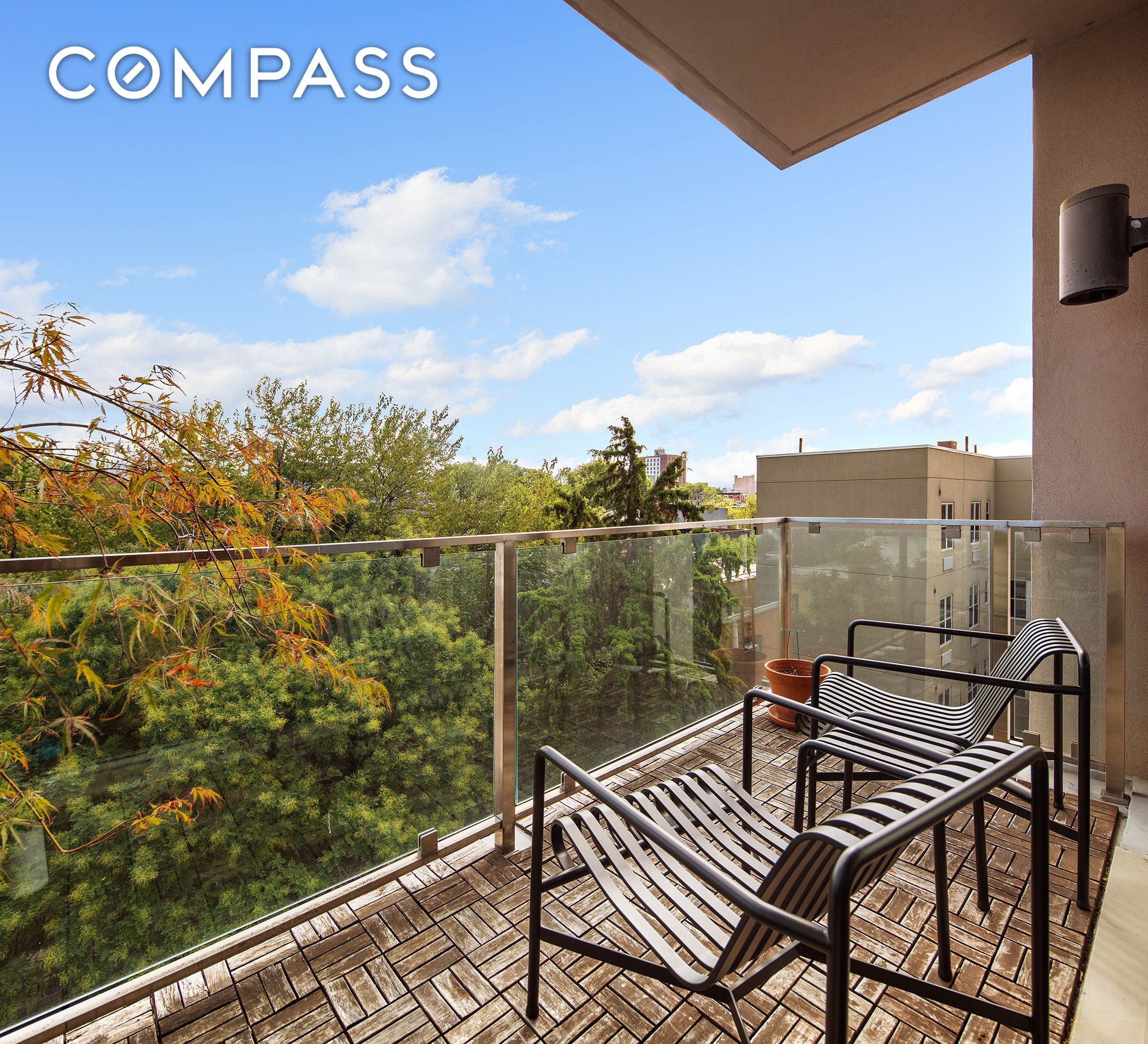 #6 photo, 159 Tompkins Avenue, ブルックリン区 Bedford-Stuyvesant , NY 11206