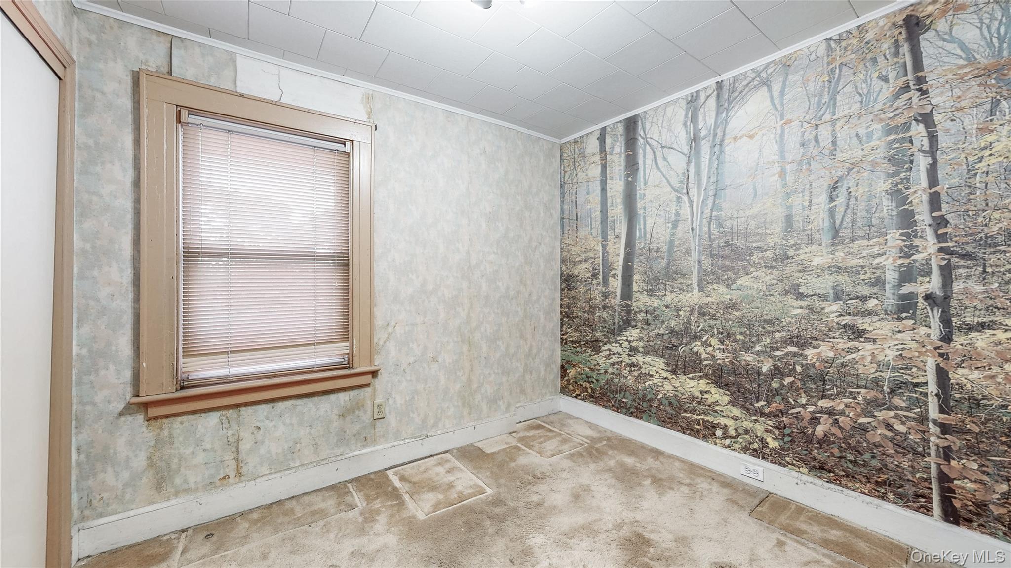 #12 photo, 88-49 212th Place, Queens Village , NY 11427