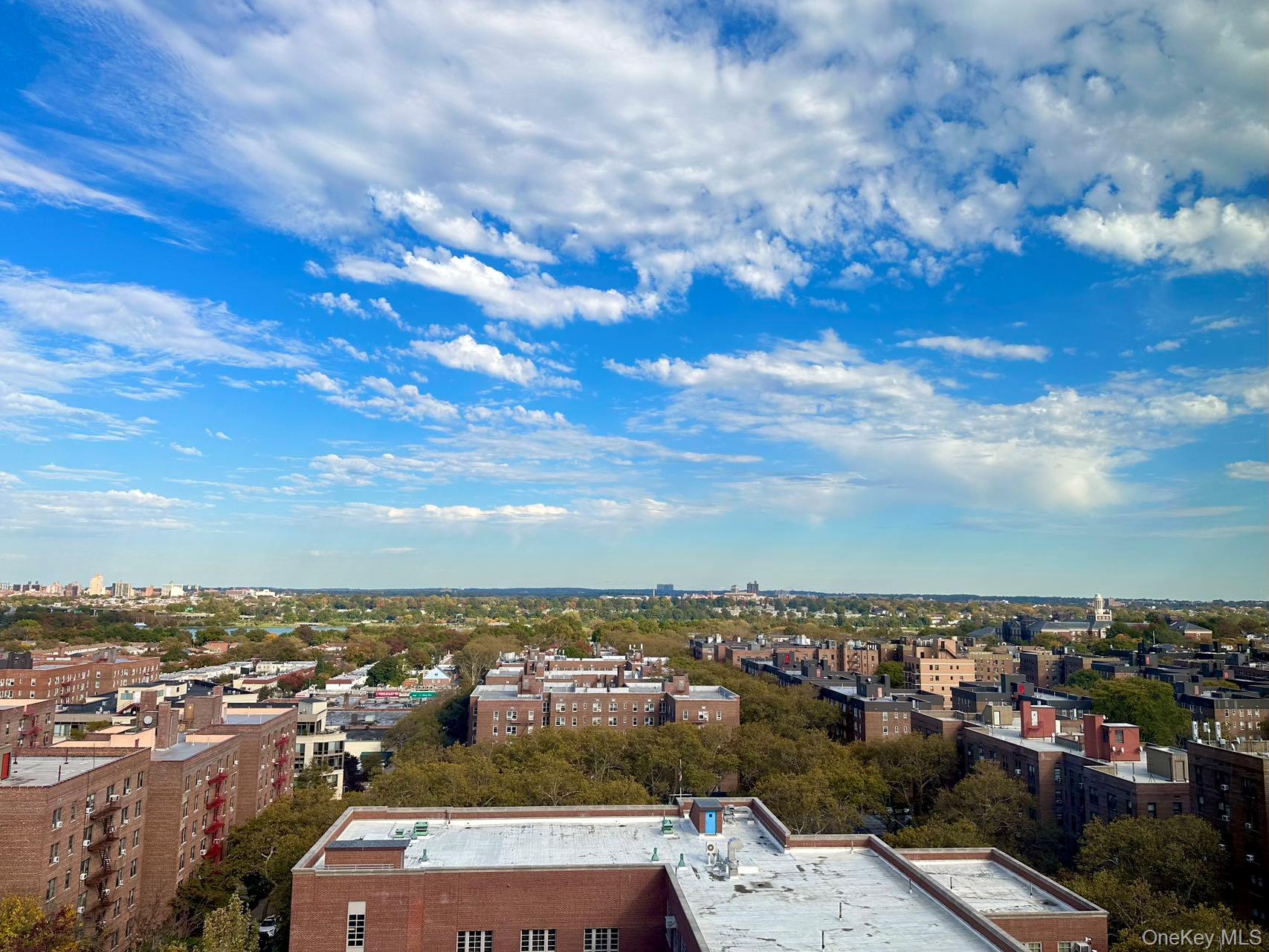 #18 photo, 64-34 102 Street, クイーンズ区 Rego Park , NY 11374