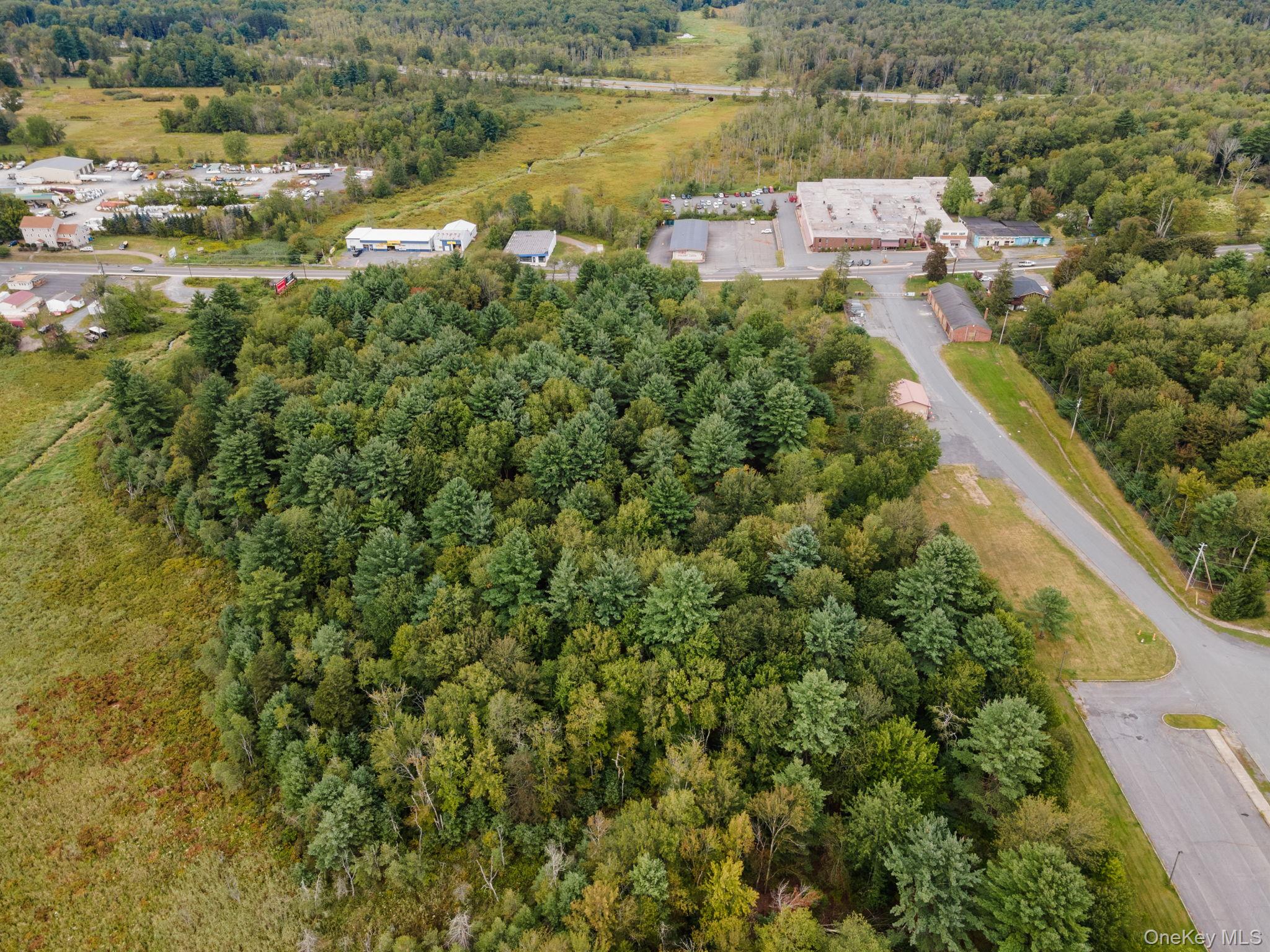 #10 photo, E Broadway, Monticello , NY 12701