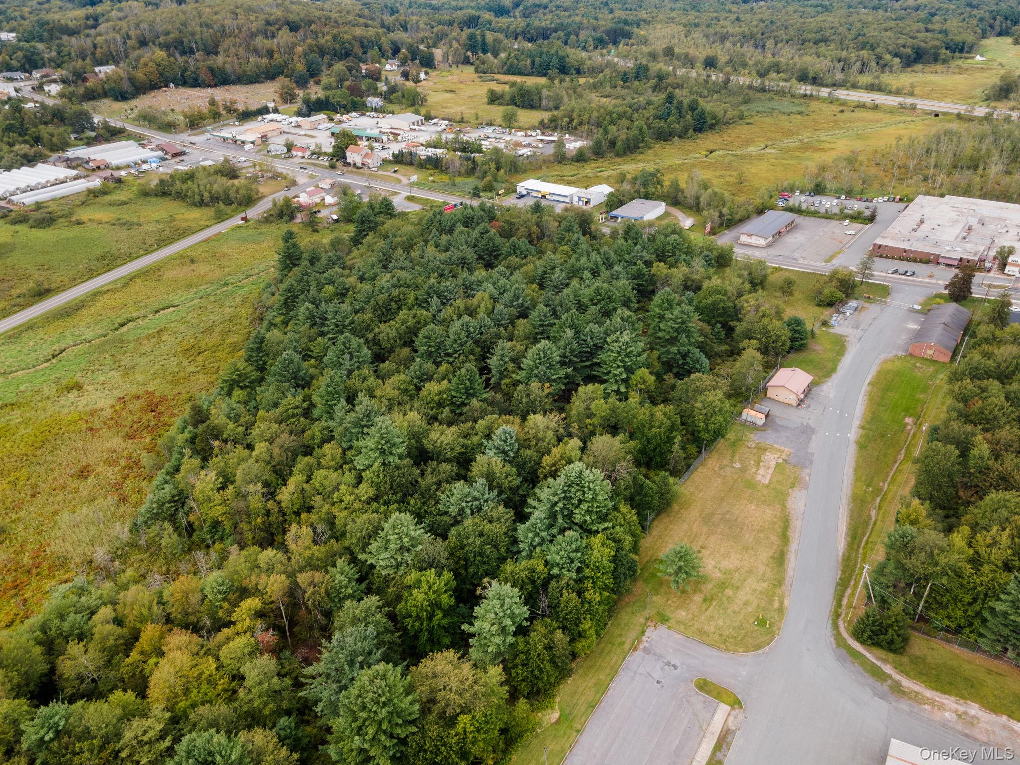 #11 photo, E Broadway, Monticello , NY 12701