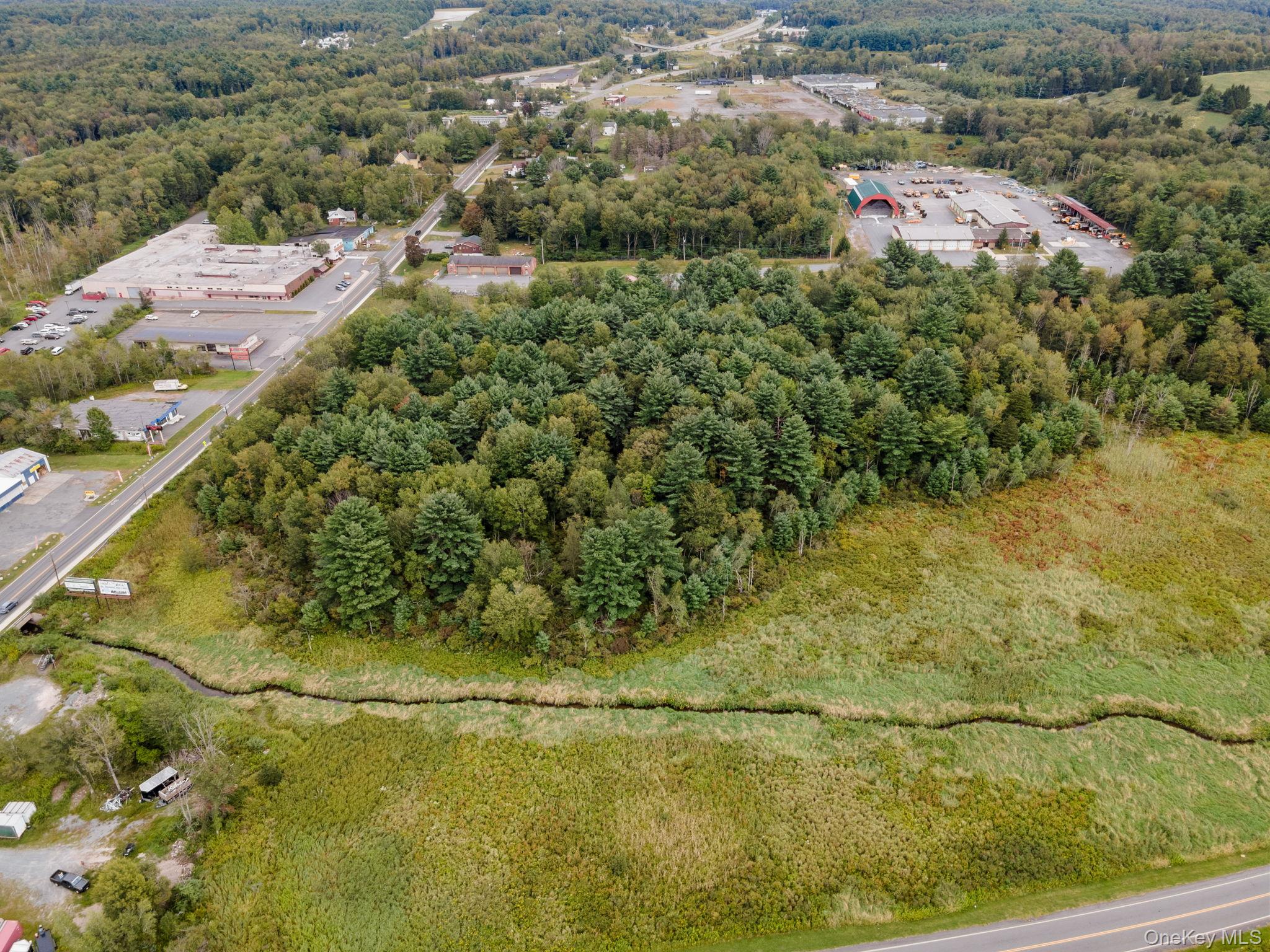 #8 photo, E Broadway, Monticello , NY 12701