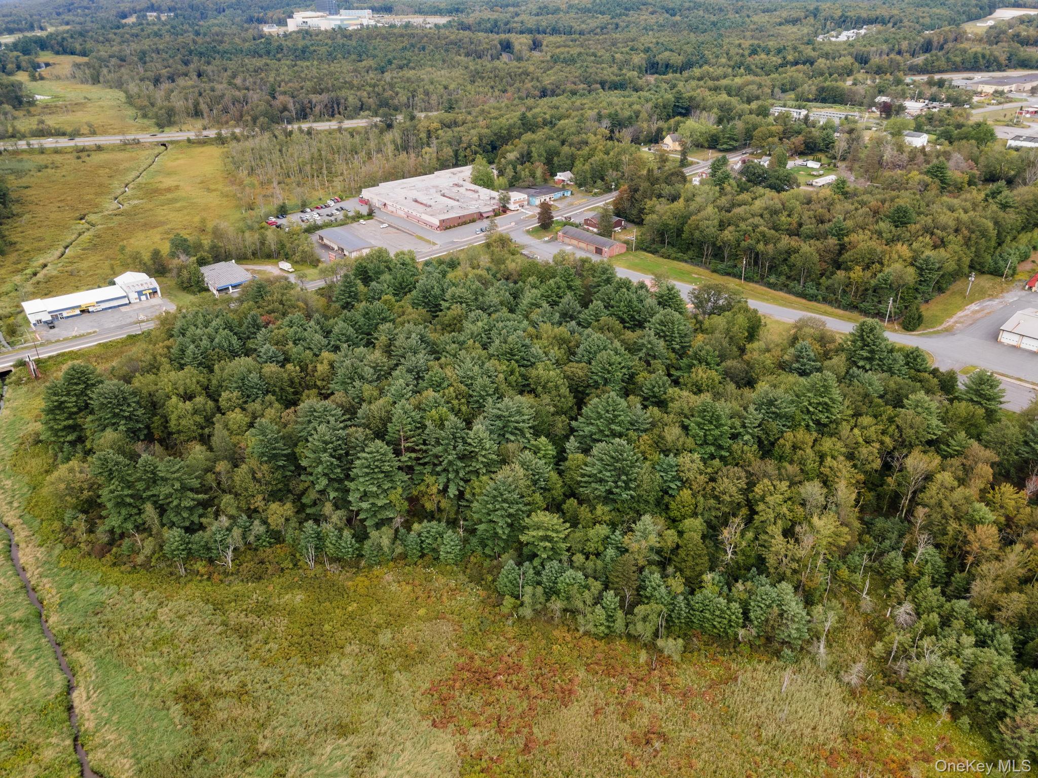 #9 photo, E Broadway, Monticello , NY 12701