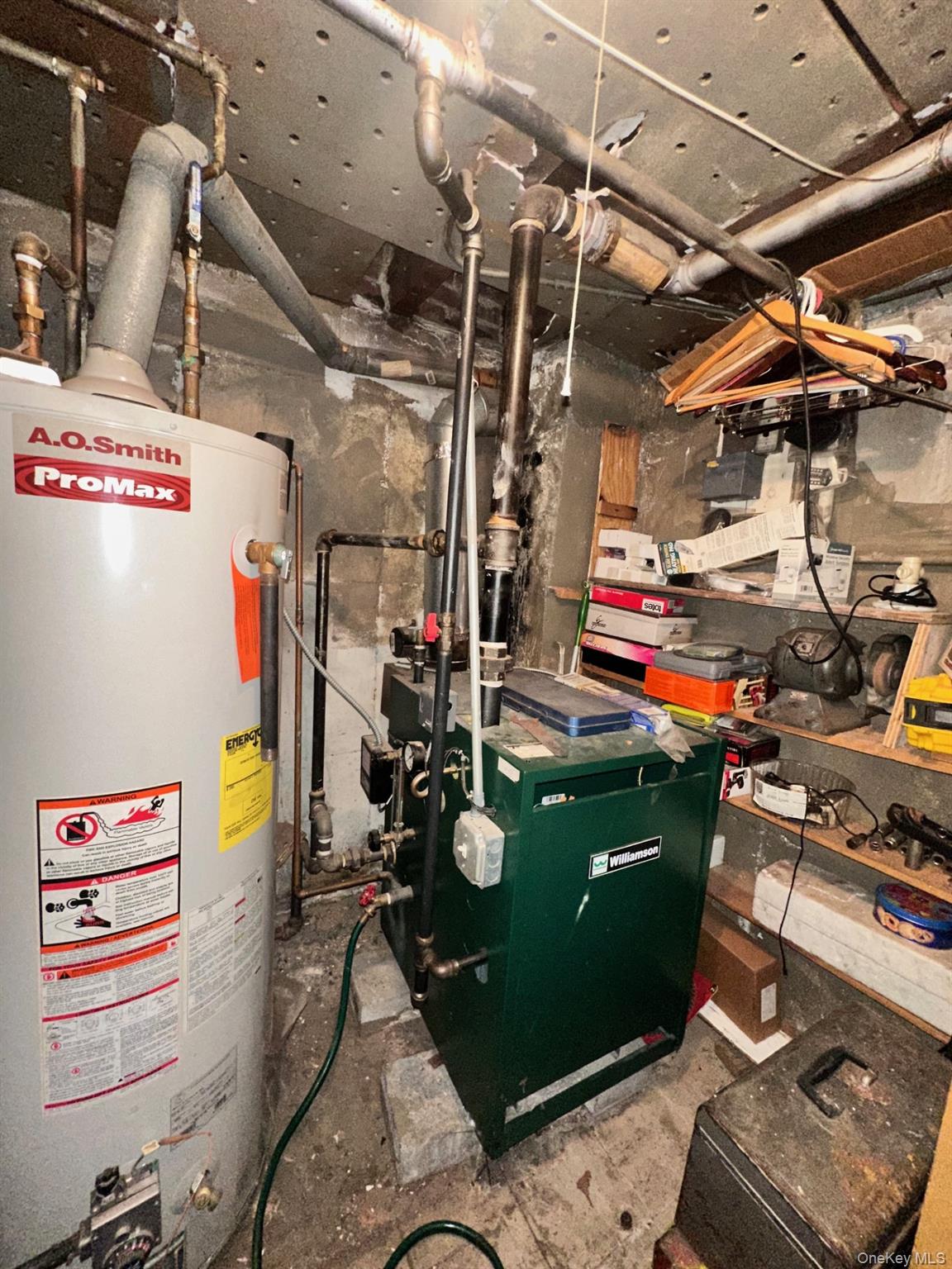 #13 photo, 252 E 86th Street, Brooklyn , NY 11236