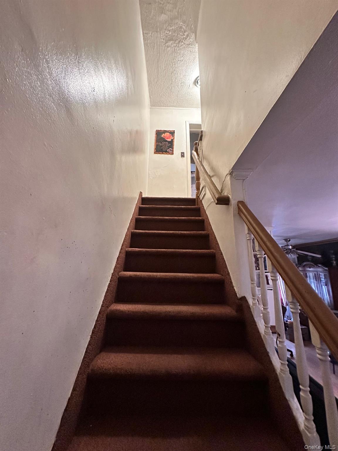 #5 photo, 252 E 86th Street, Brooklyn , NY 11236