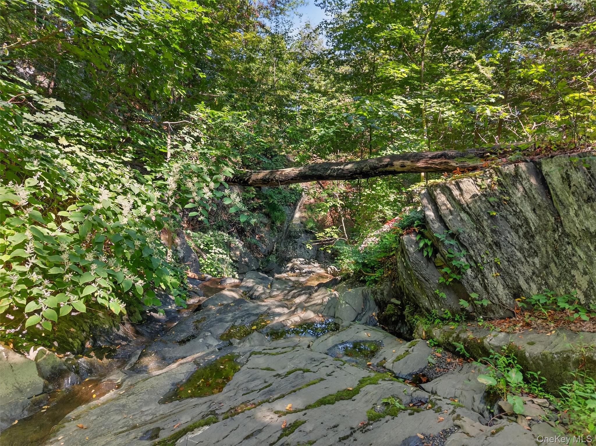 #10 photo, 331 Mountain Lodge Road, Blooming Grove , NY 10914