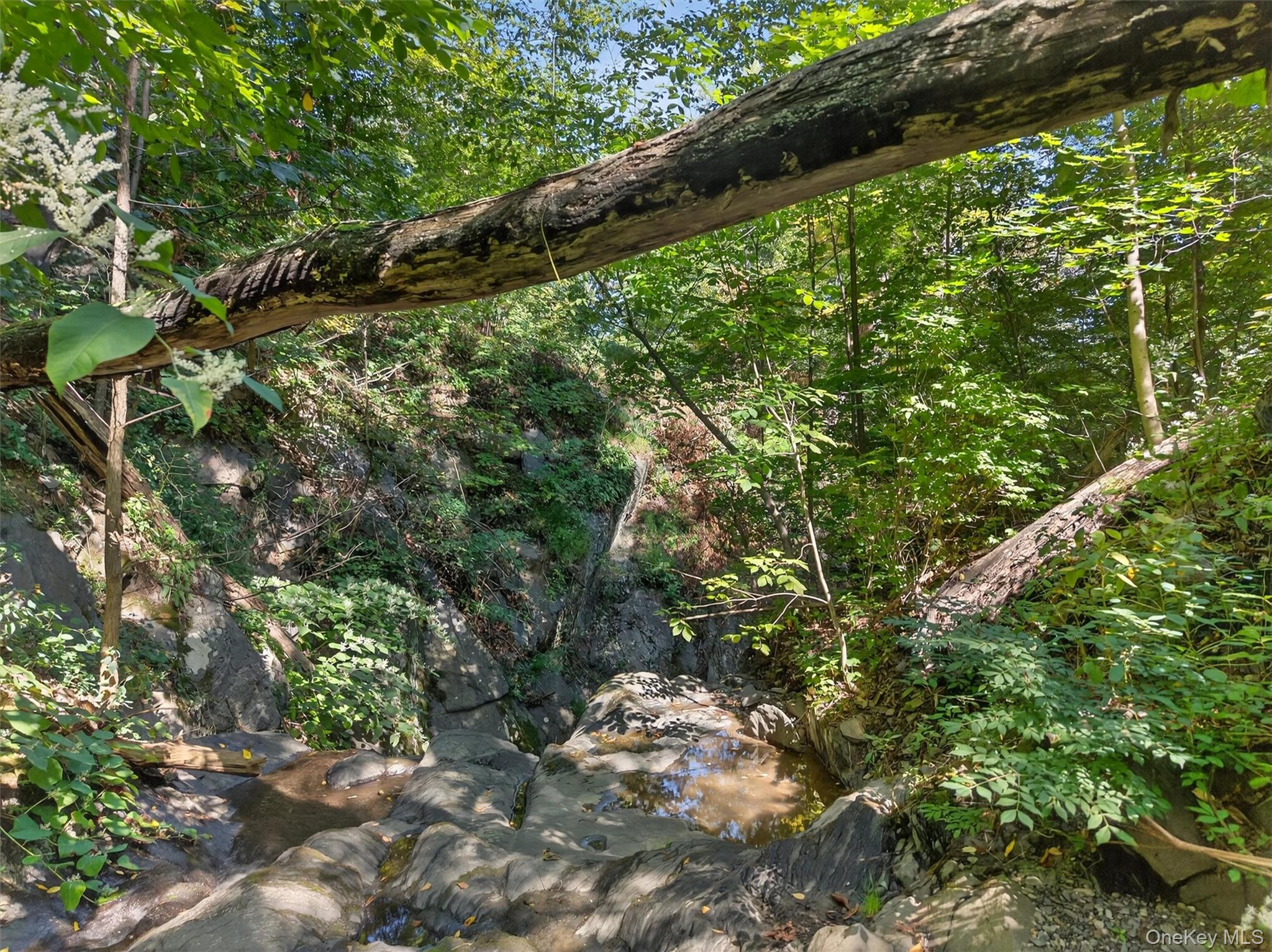 #12 photo, 331 Mountain Lodge Road, Blooming Grove , NY 10914