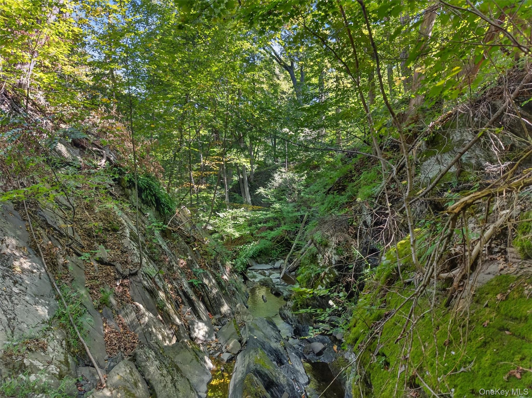 #14 photo, 331 Mountain Lodge Road, Blooming Grove , NY 10914