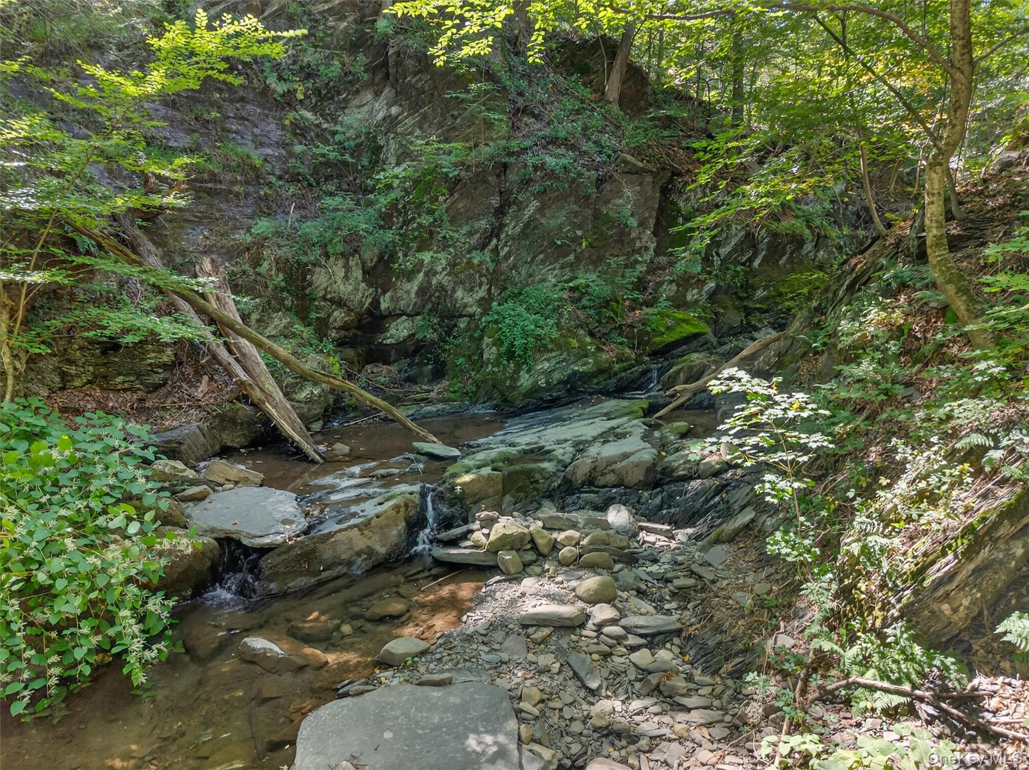 #17 photo, 331 Mountain Lodge Road, Blooming Grove , NY 10914