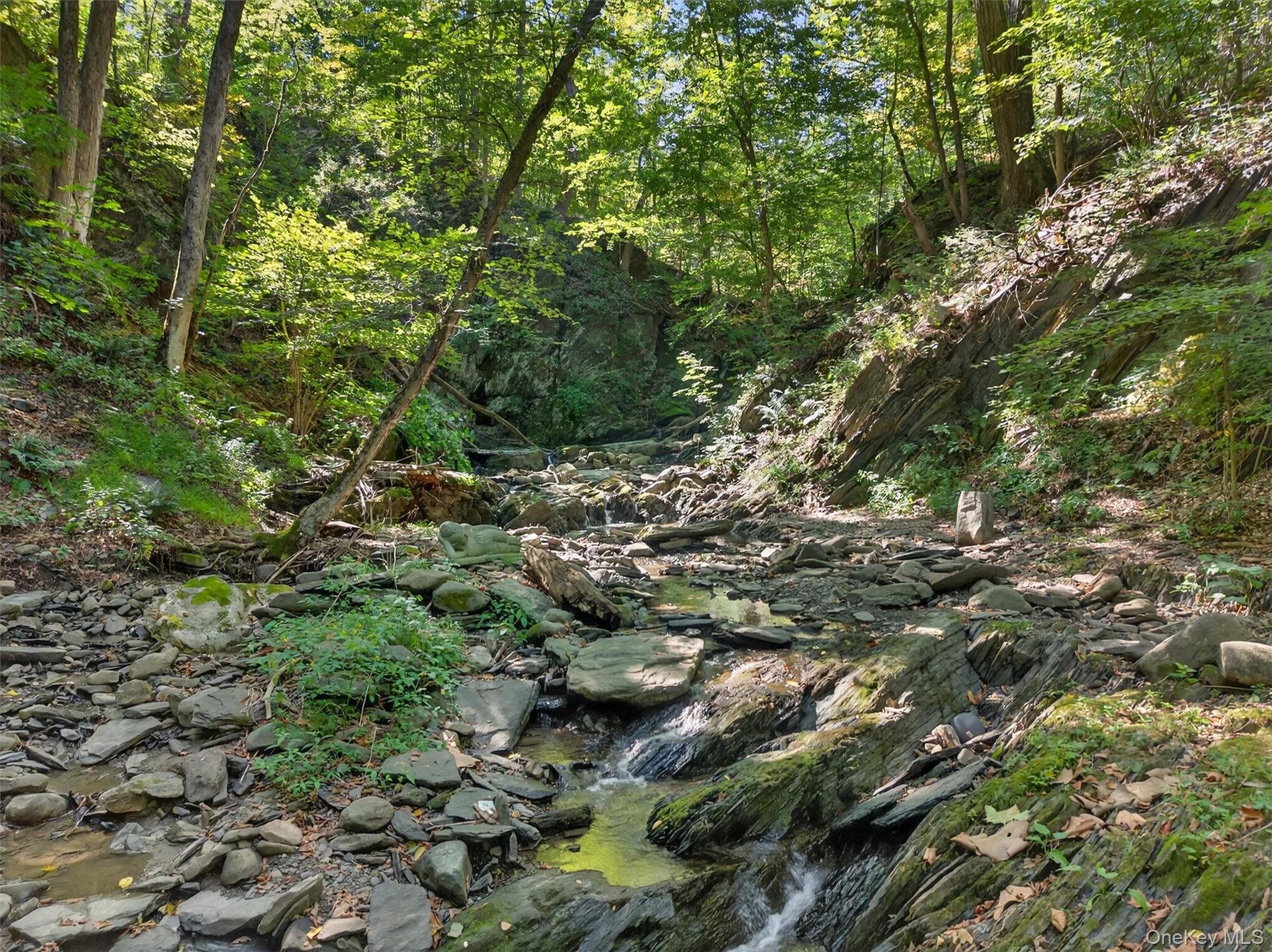 #19 photo, 331 Mountain Lodge Road, Blooming Grove , NY 10914