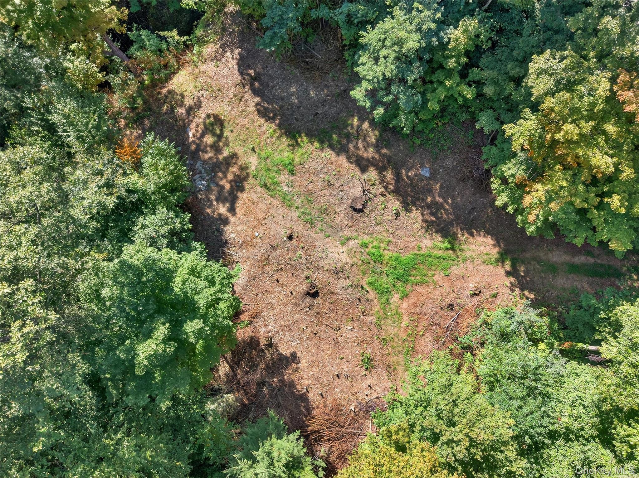 #2 photo, 331 Mountain Lodge Road, Blooming Grove , NY 10914