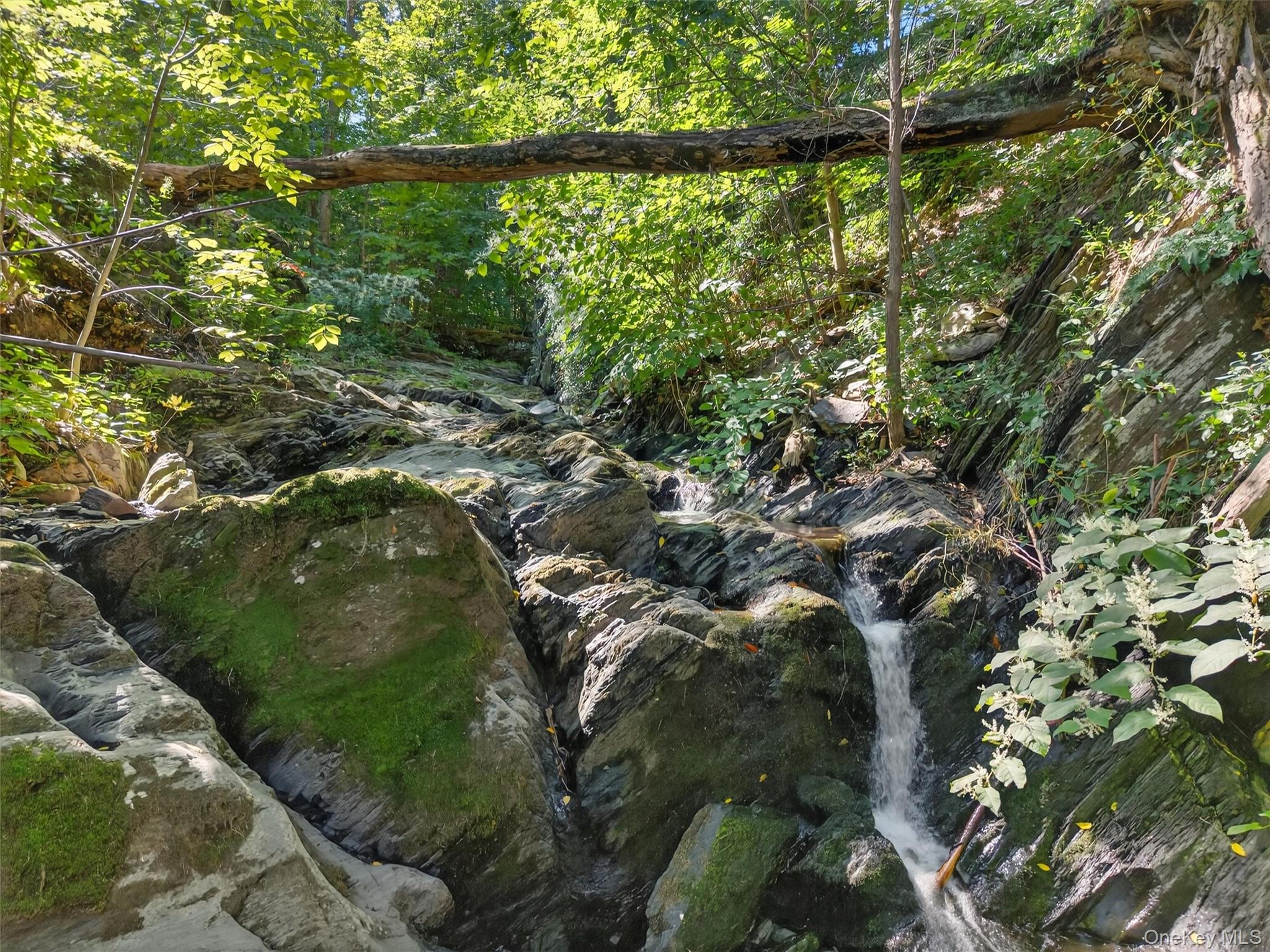 #8 photo, 331 Mountain Lodge Road, Blooming Grove , NY 10914