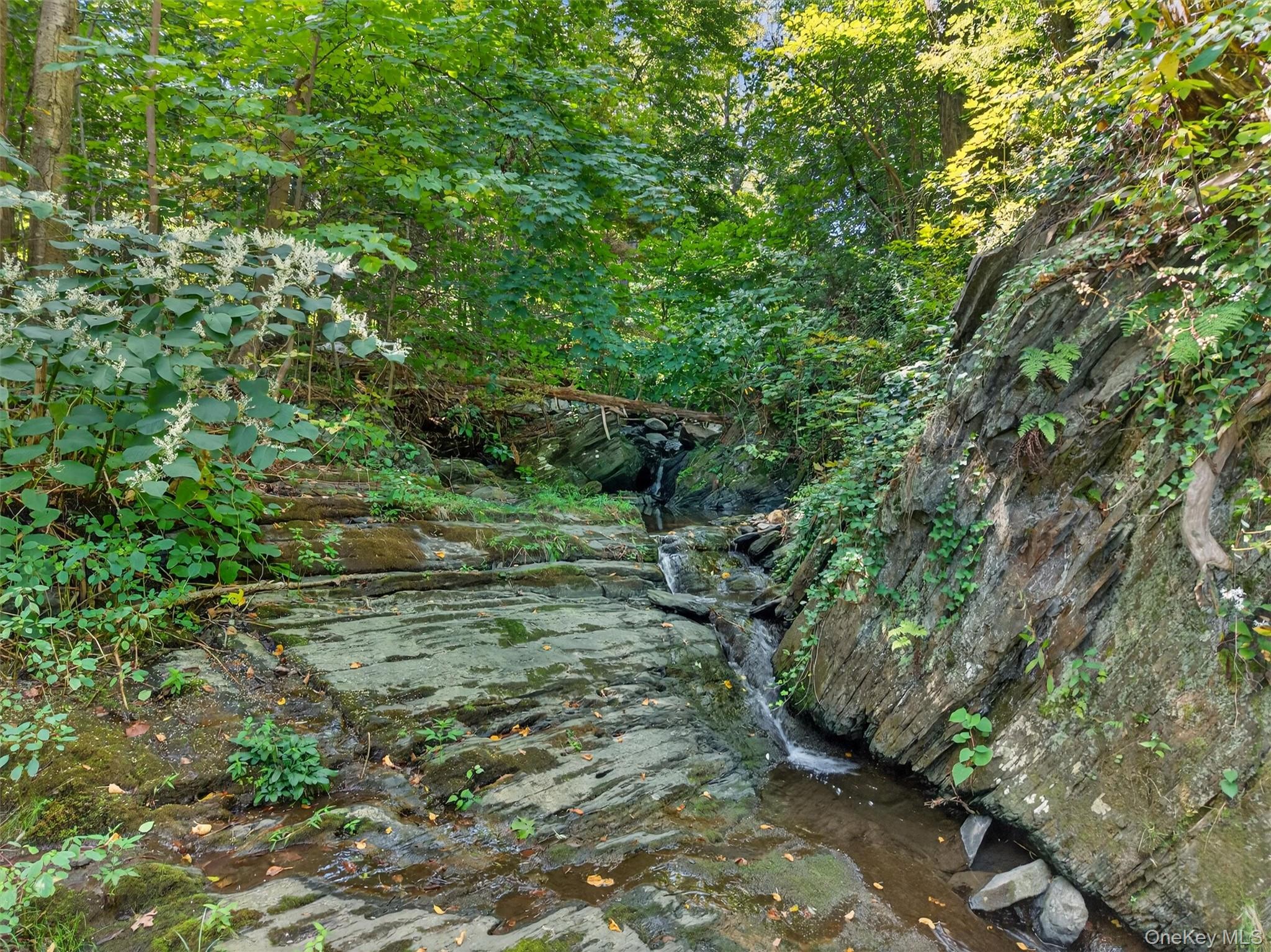 #9 photo, 331 Mountain Lodge Road, Blooming Grove , NY 10914